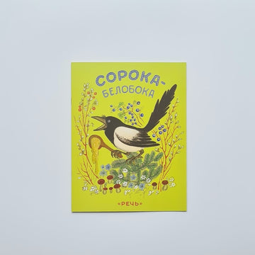 Сорока-белобока