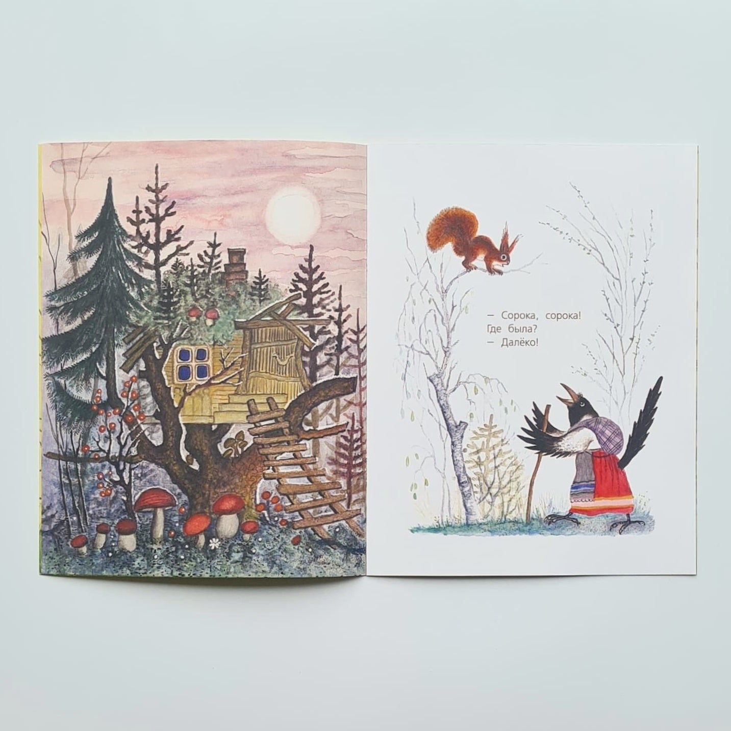 Сорока-белобока