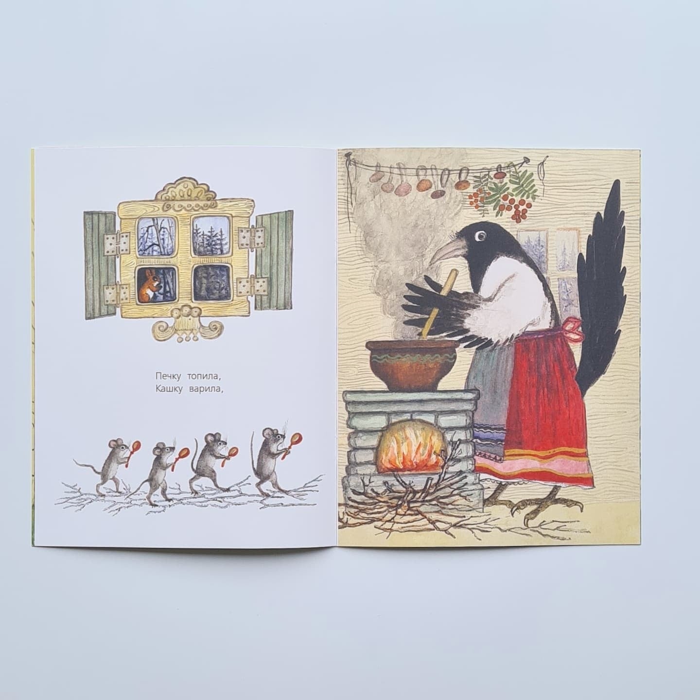 Сорока-белобока