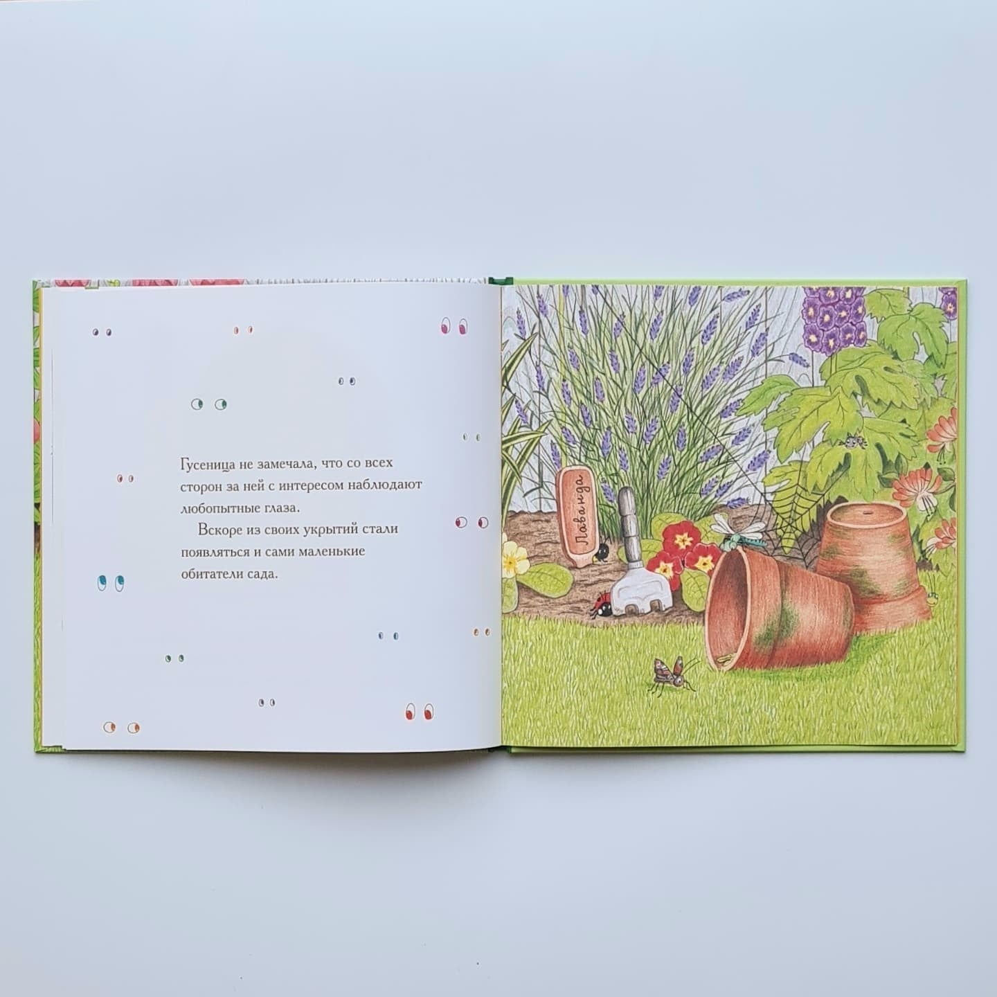 Гусеница, которая всем завидовала