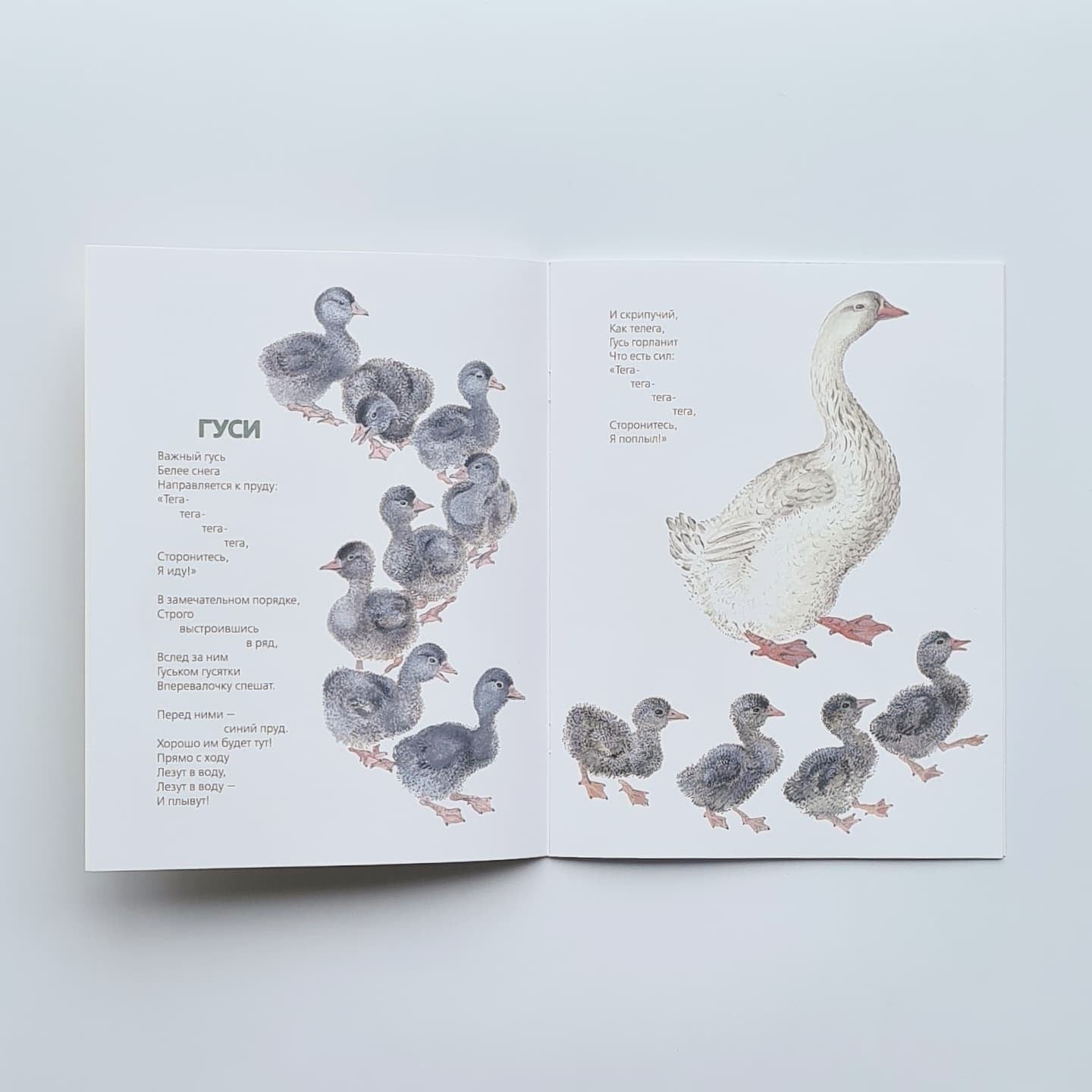 This is what they are like 