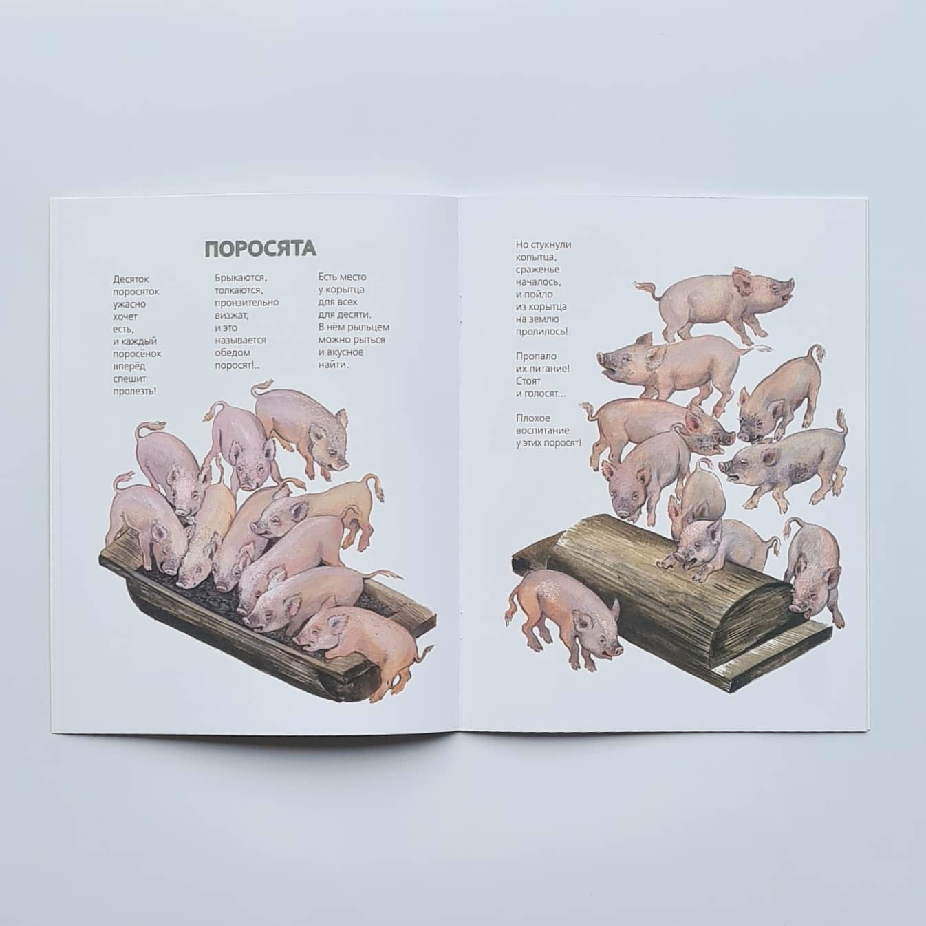 This is what they are like 