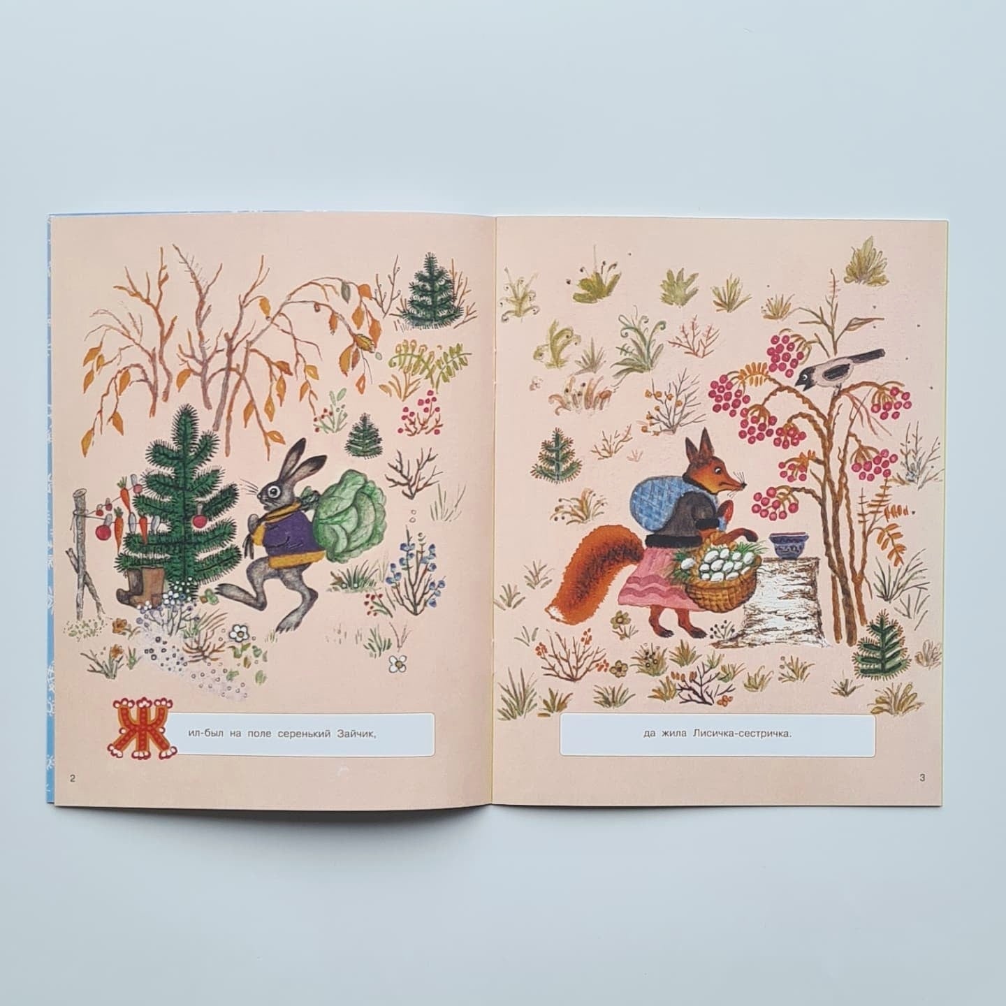 The Fox and the Hare 