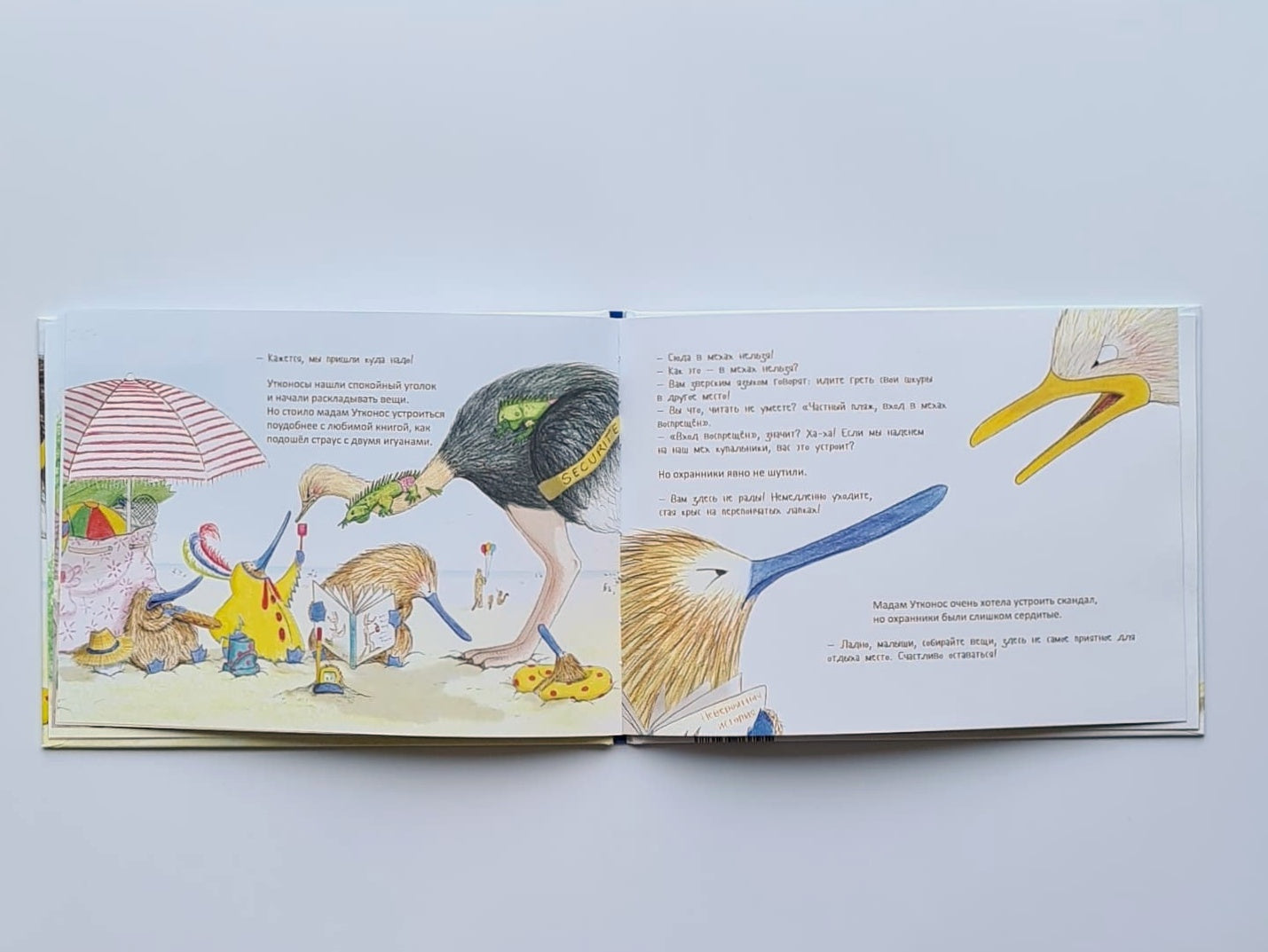 Все такие разные