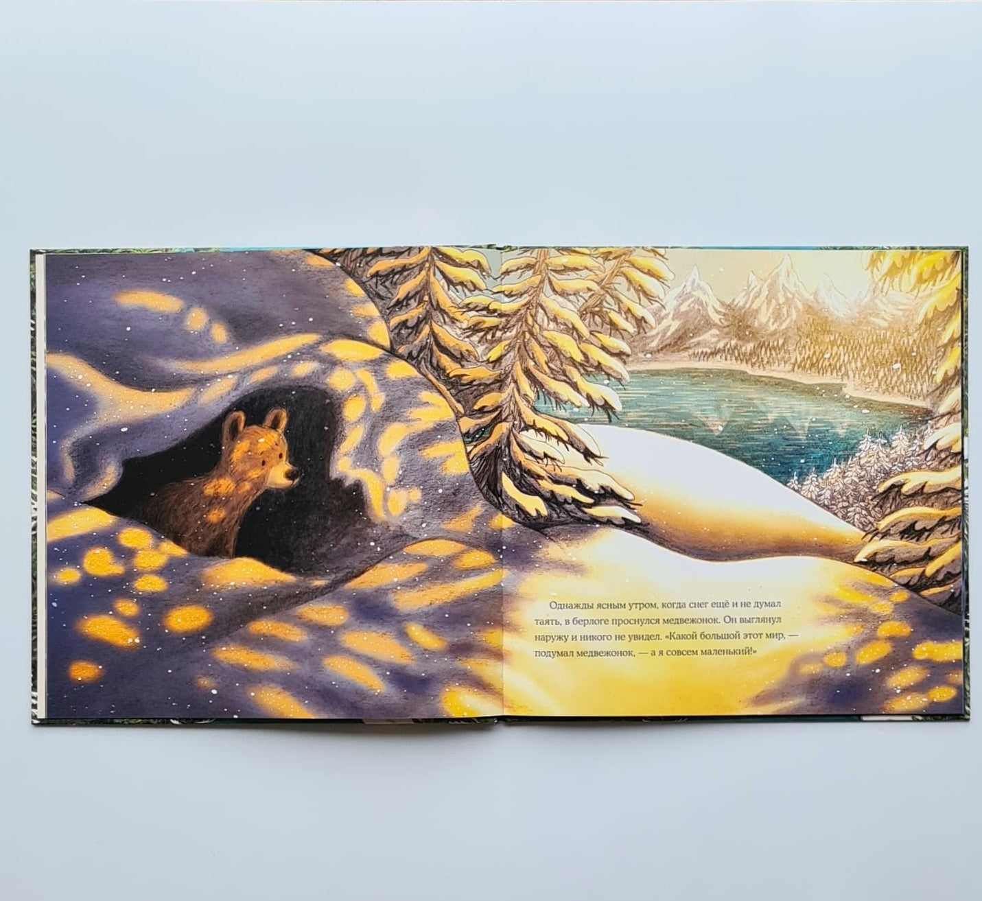 Весна медвежонка