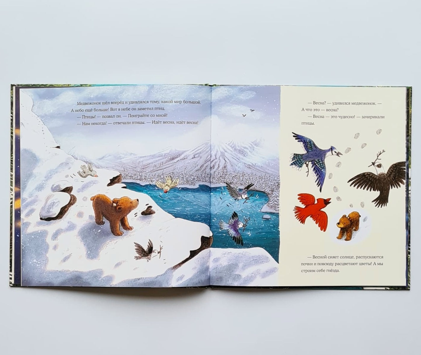 Весна медвежонка