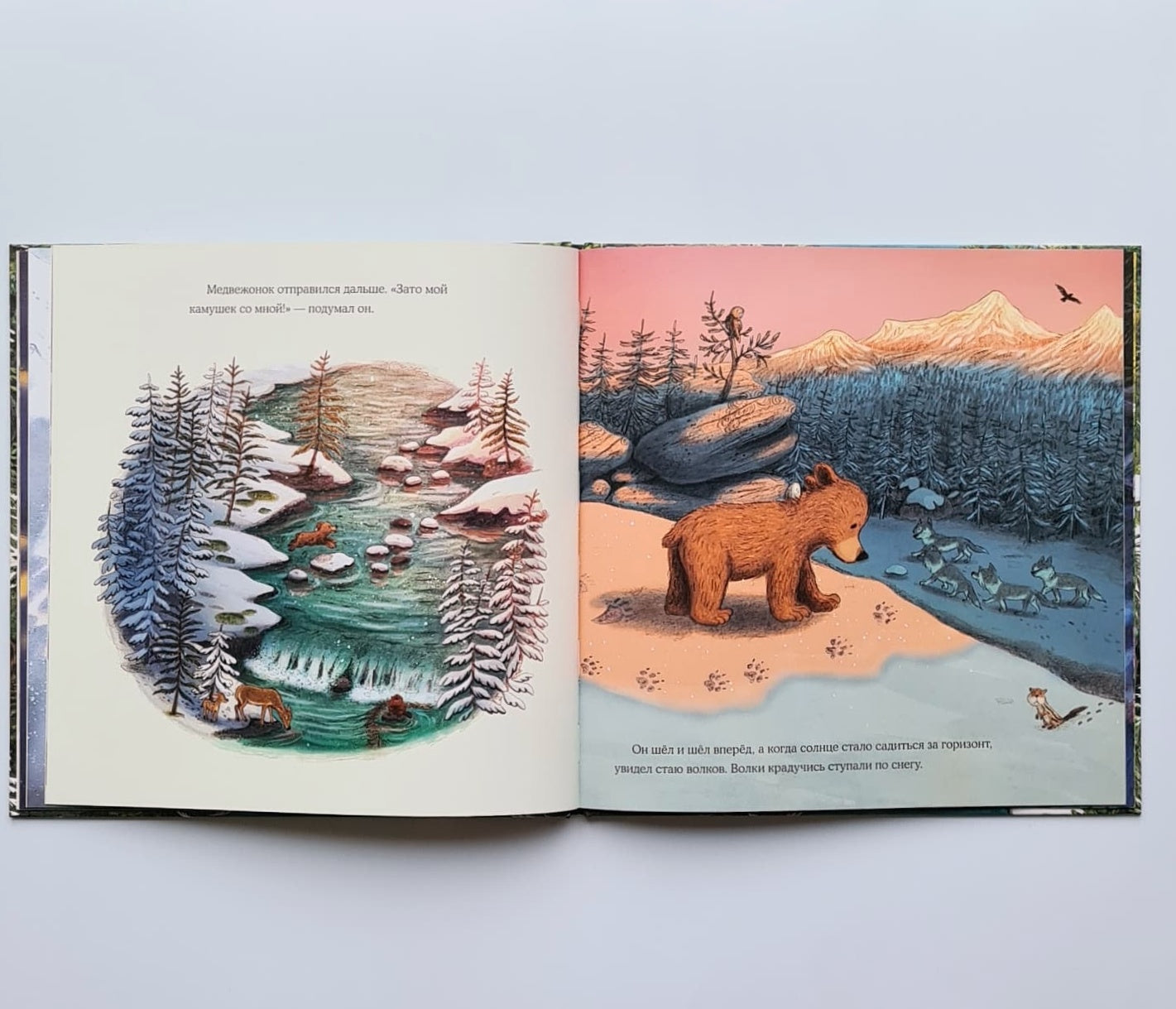 Весна медвежонка