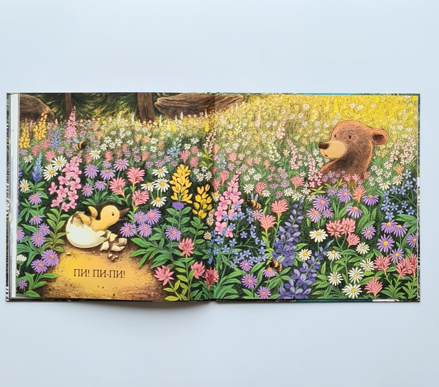 Весна медвежонка