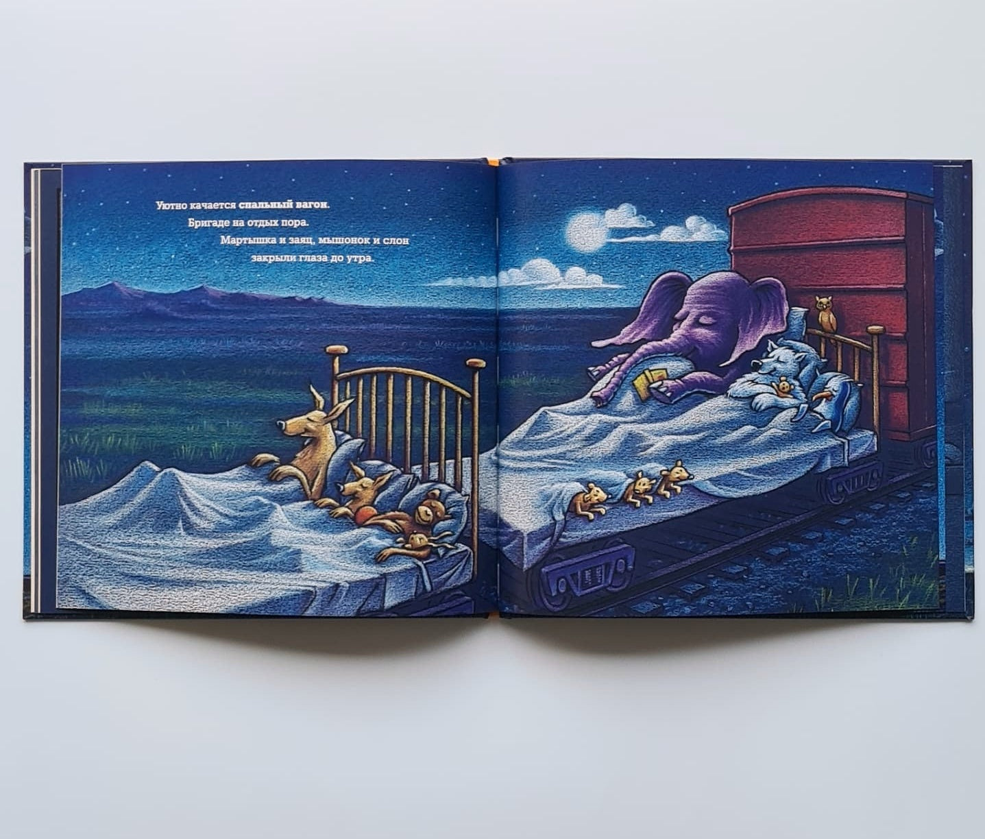 Чудный поезд мчится в сон