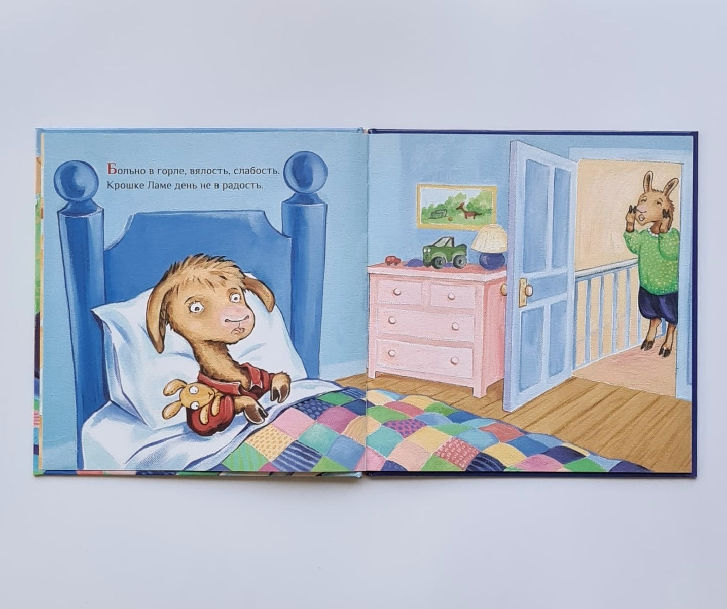 Llama and his mother are sick