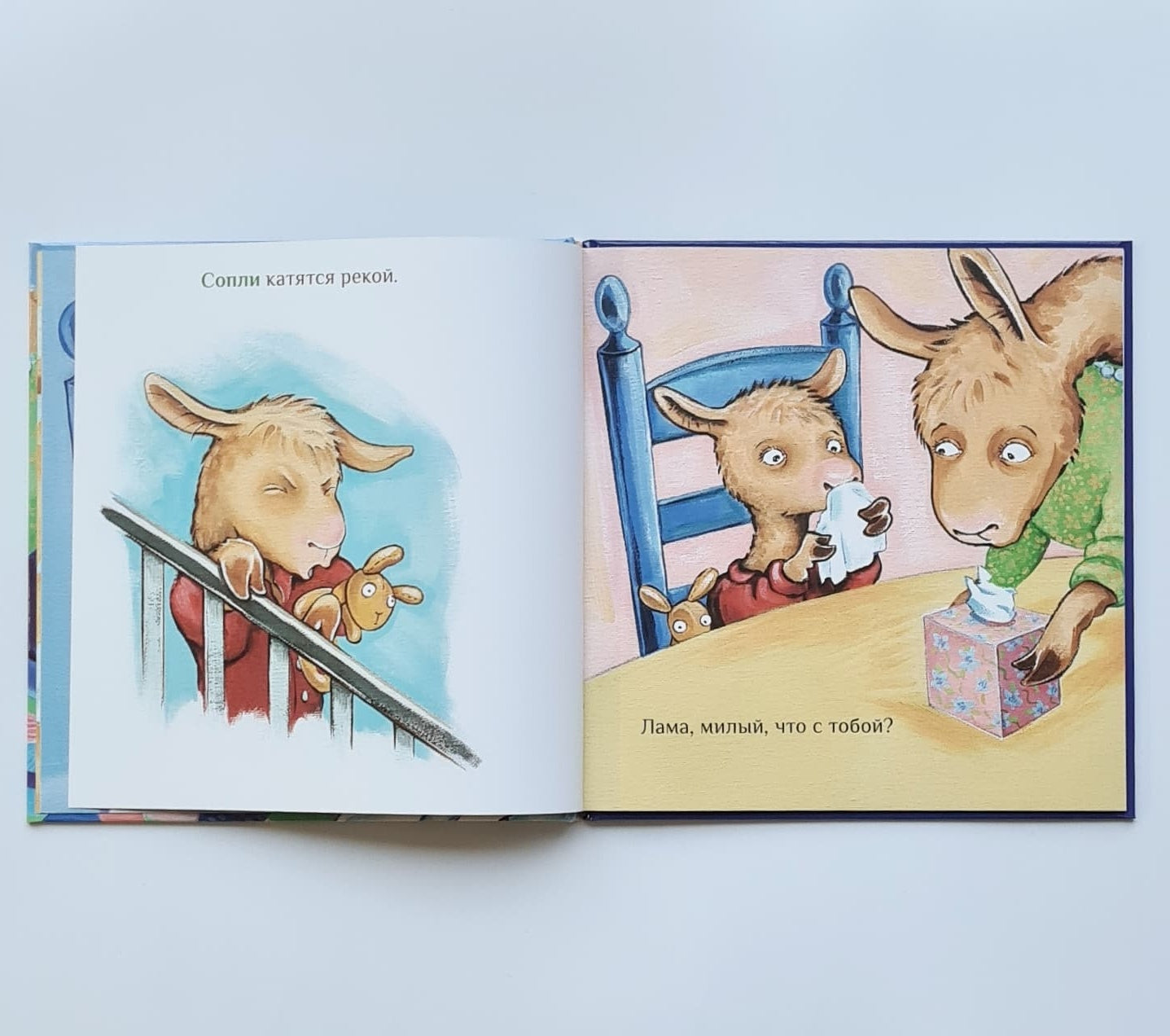 Llama and his mother are sick