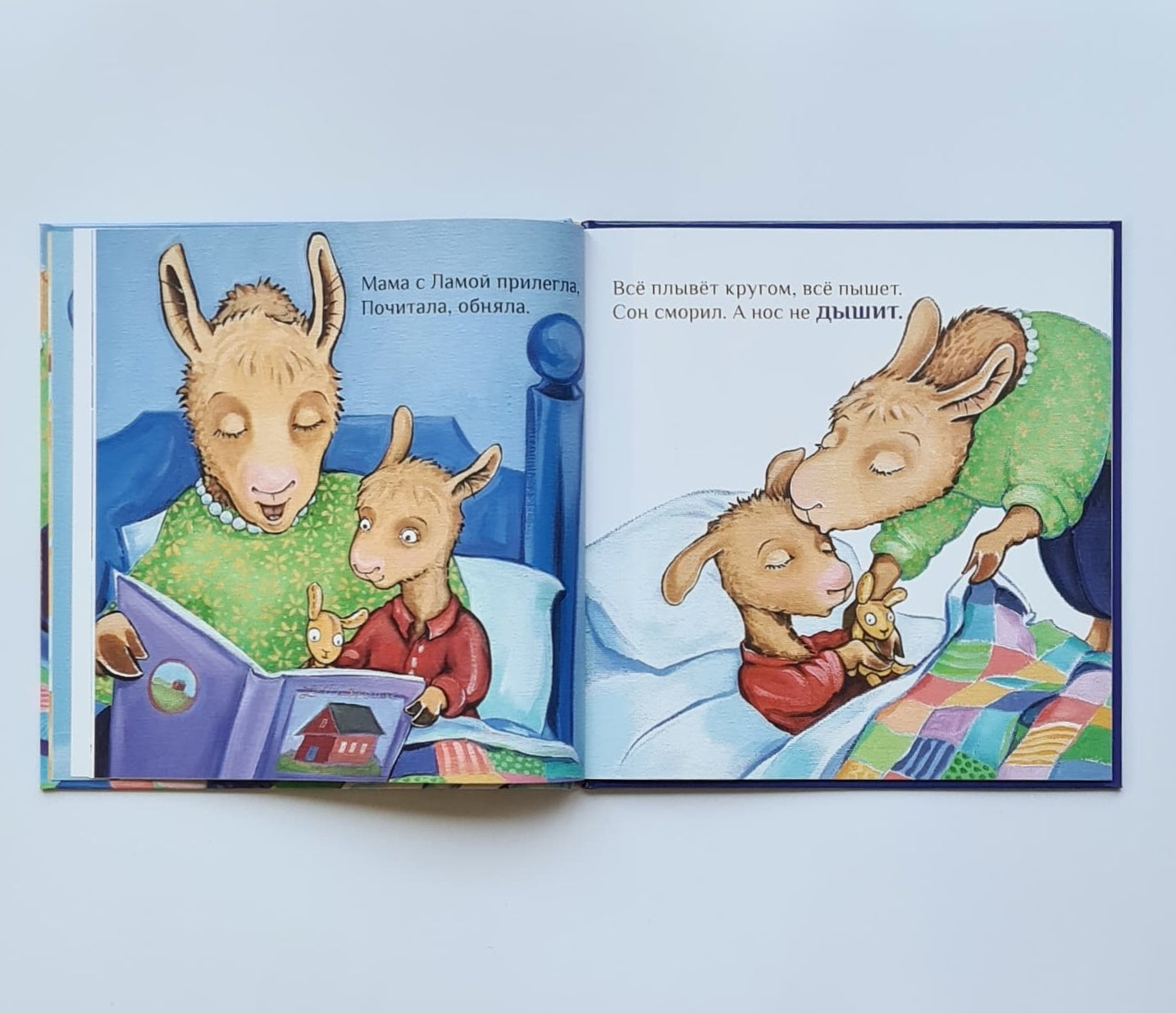 Llama and his mother are sick