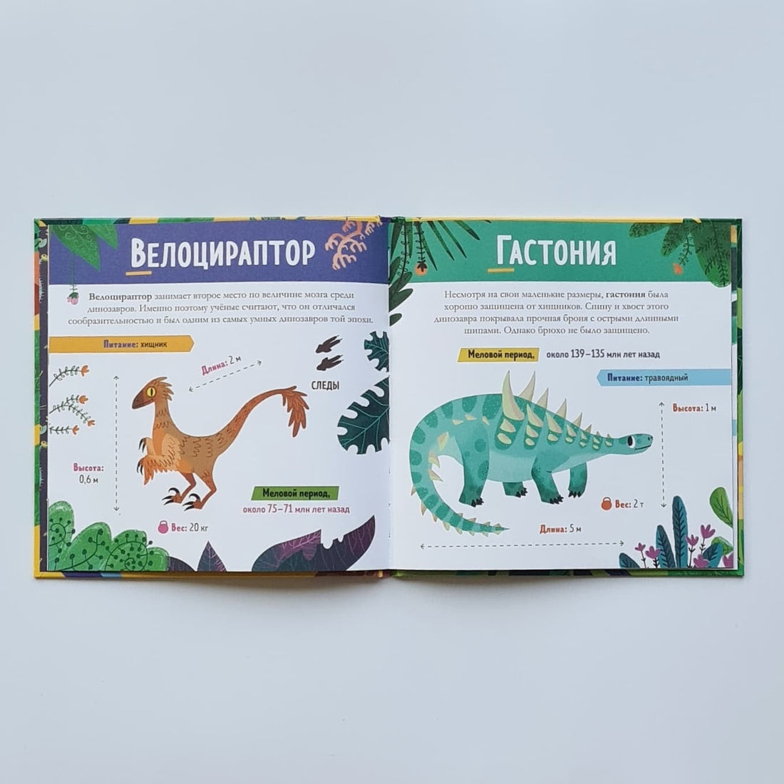 Dinosaurs from A to Z