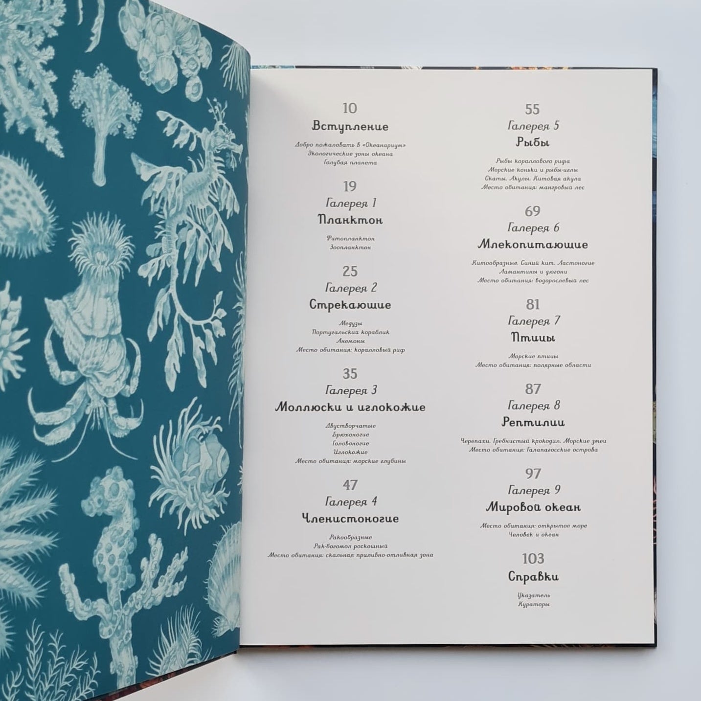 Океанариум