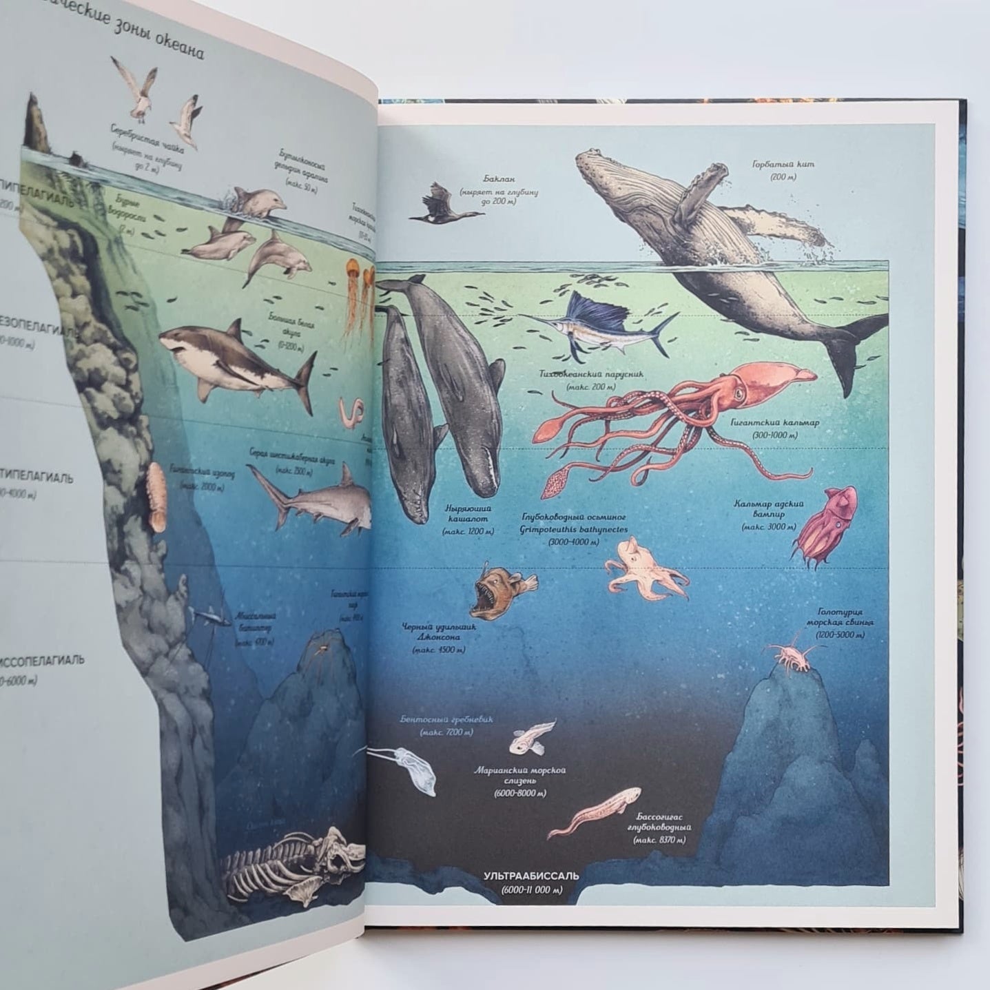 Океанариум