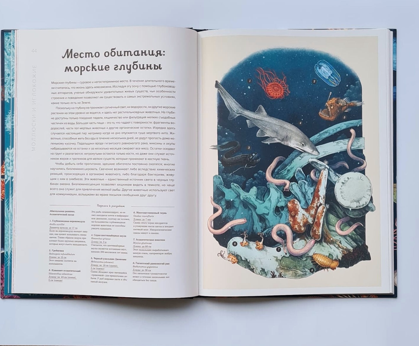 Океанариум