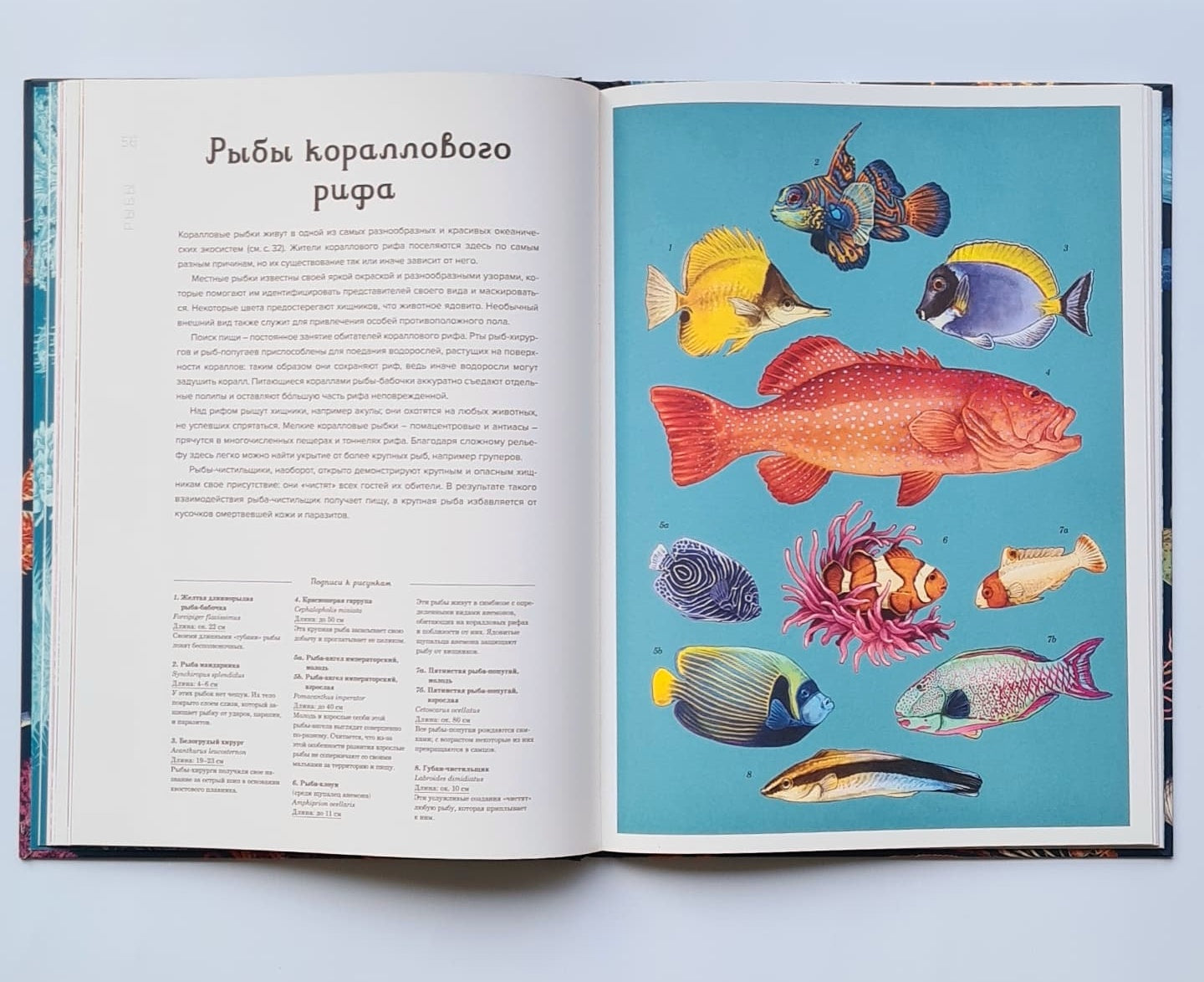 Океанариум