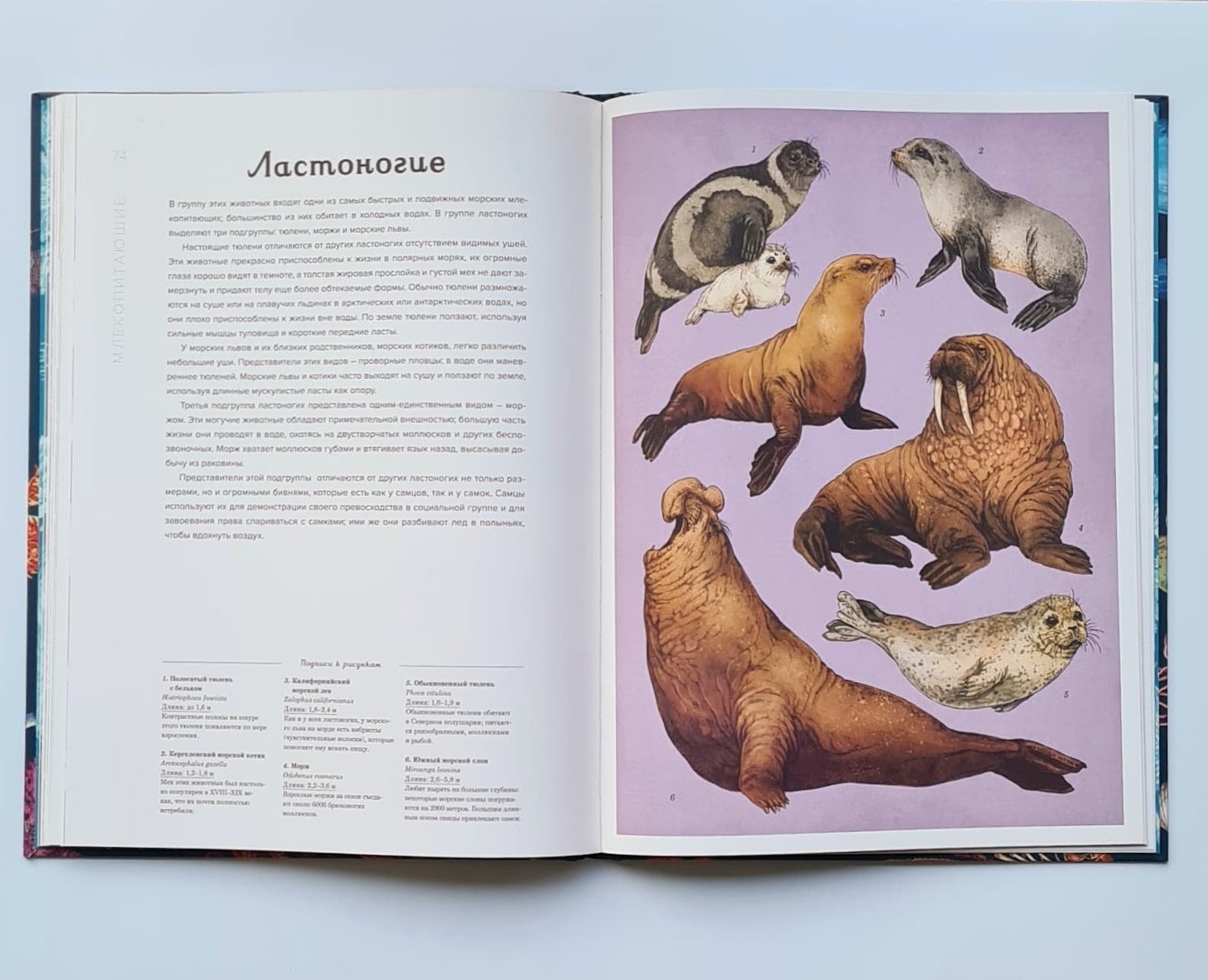 Океанариум