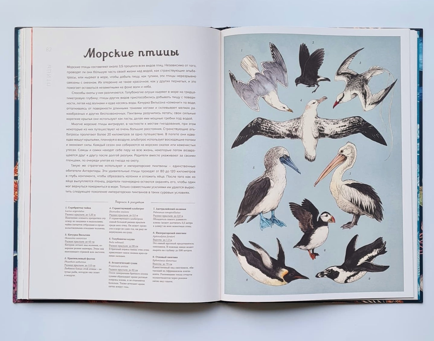 Океанариум