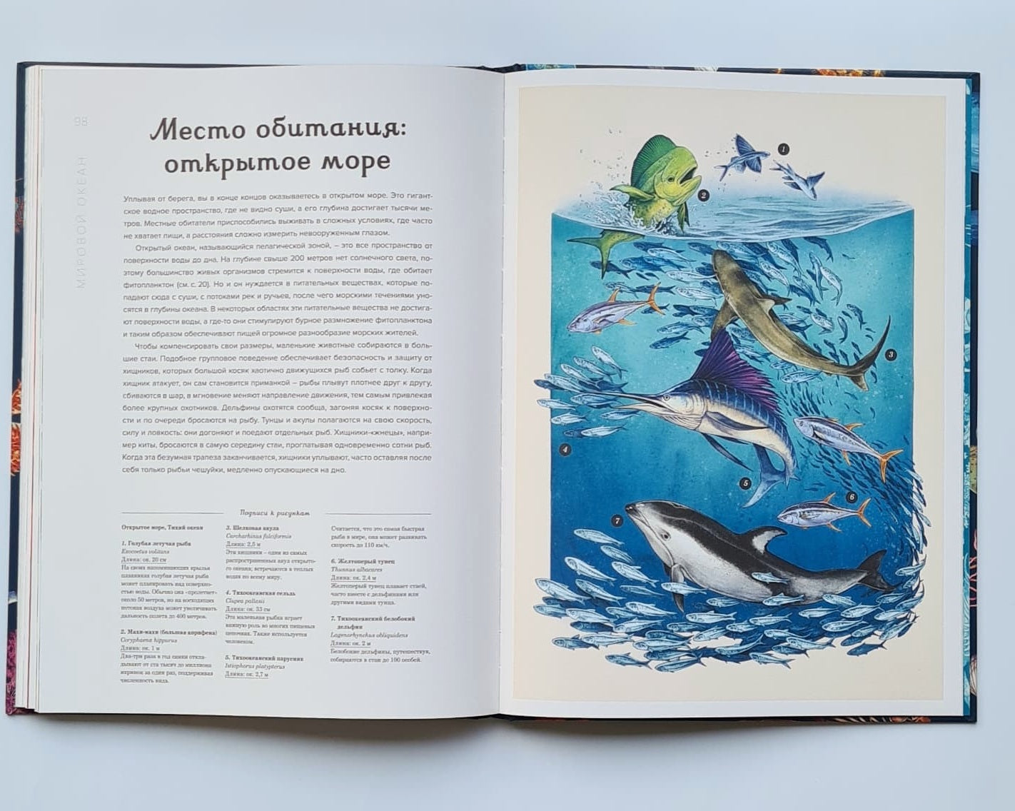 Океанариум