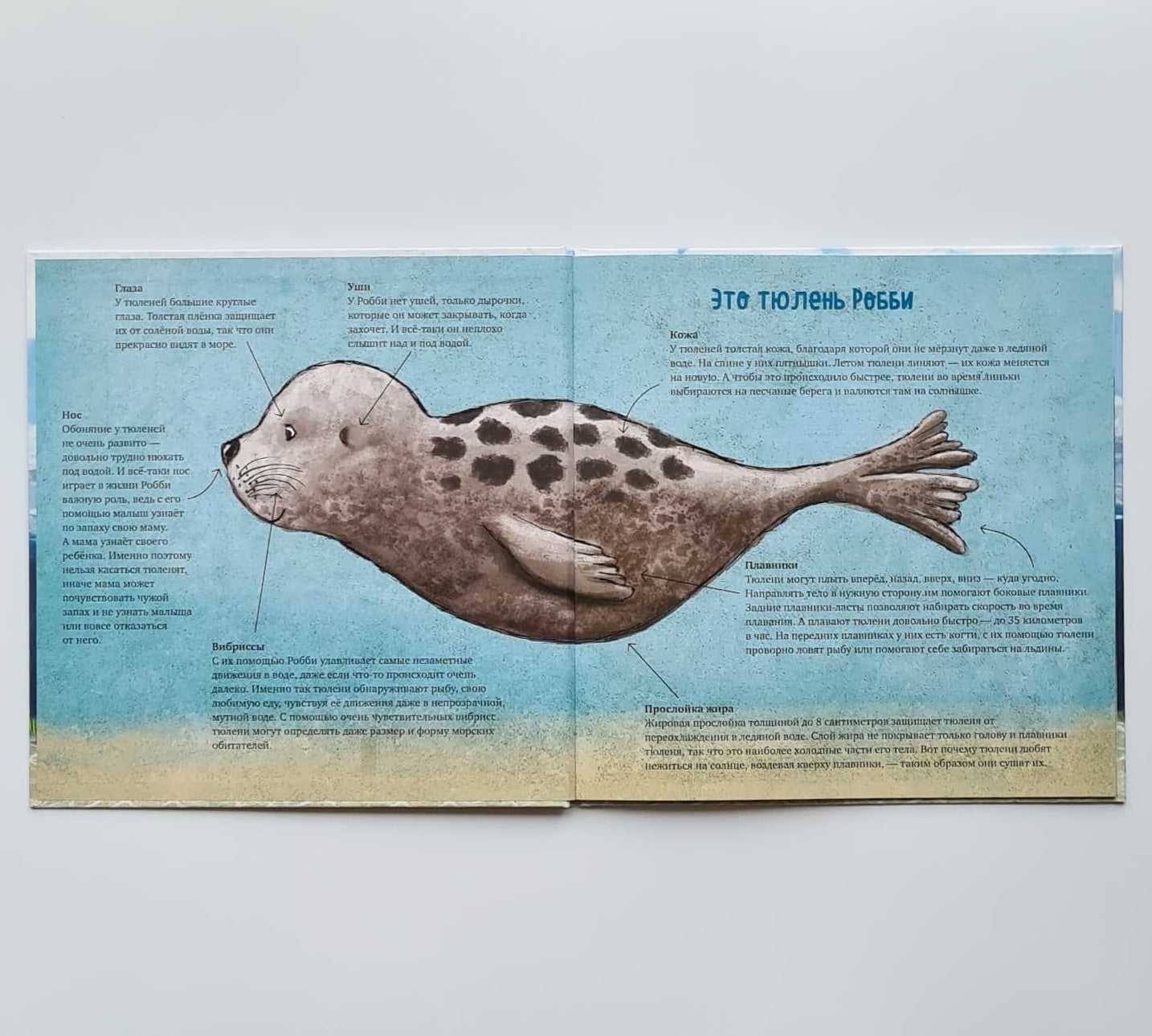 How Baby Robbie Saved the Ocean 