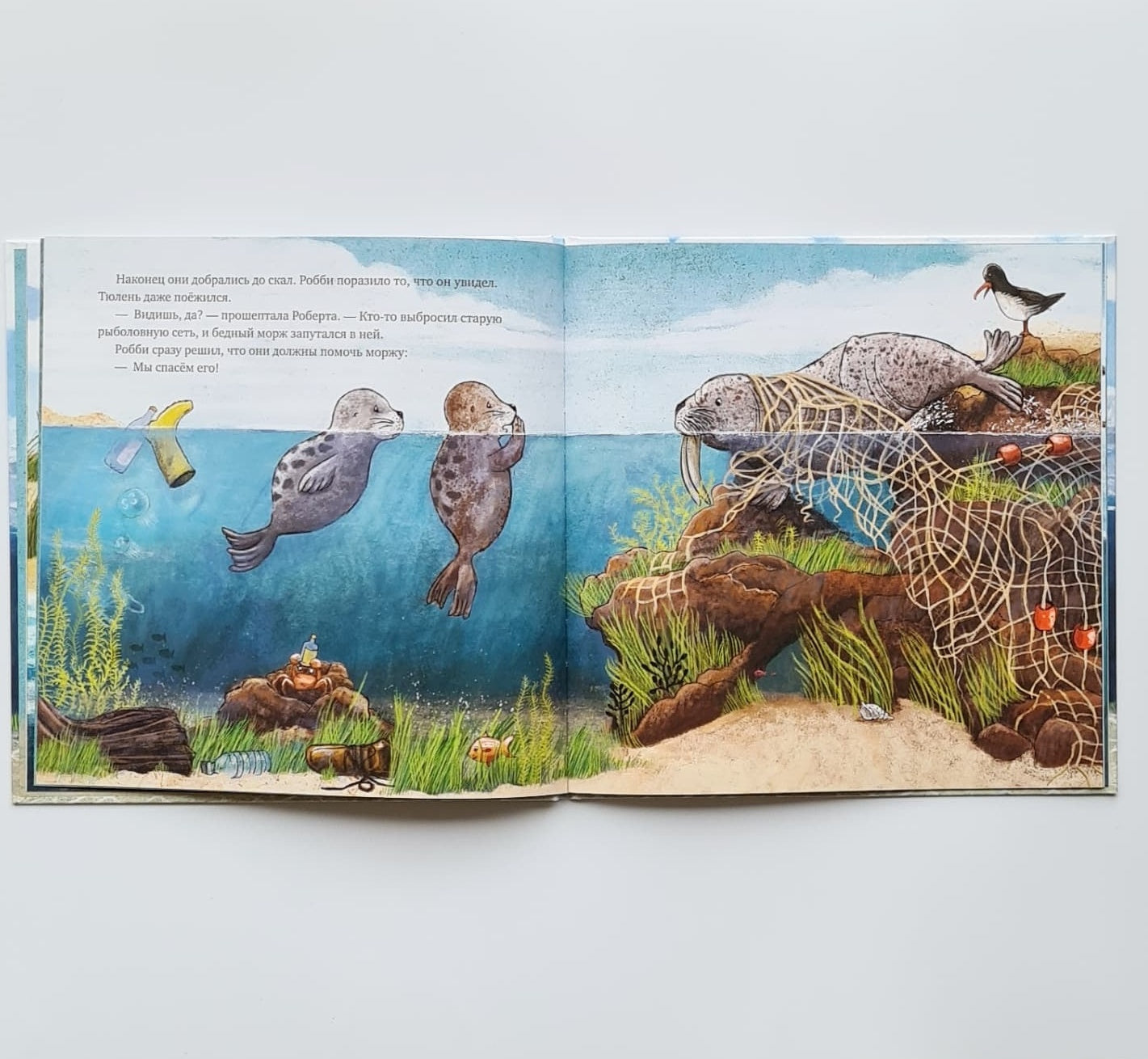 How Baby Robbie Saved the Ocean 