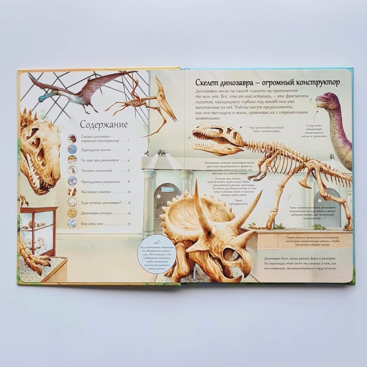 Открой тайны динозавров