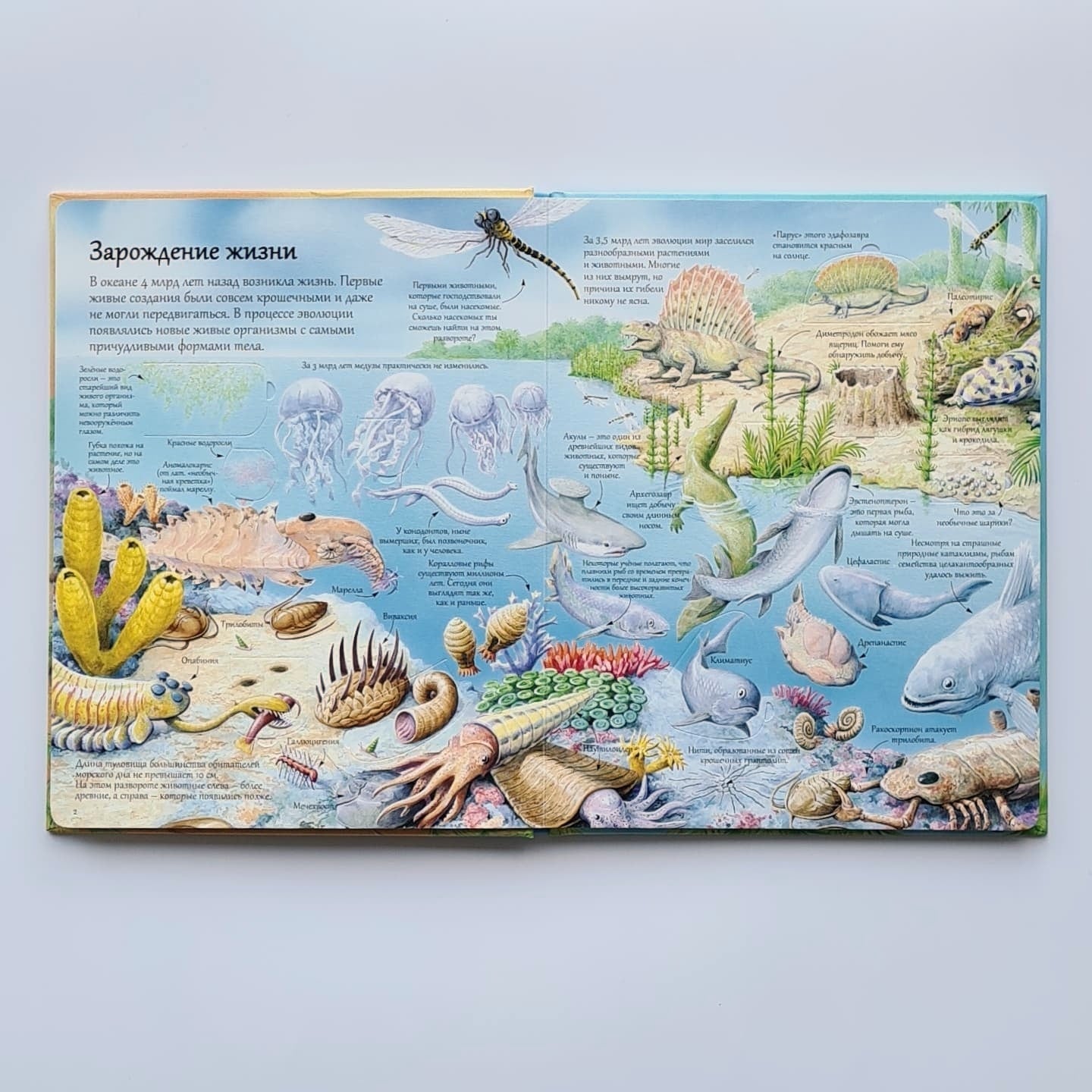 Открой тайны динозавров