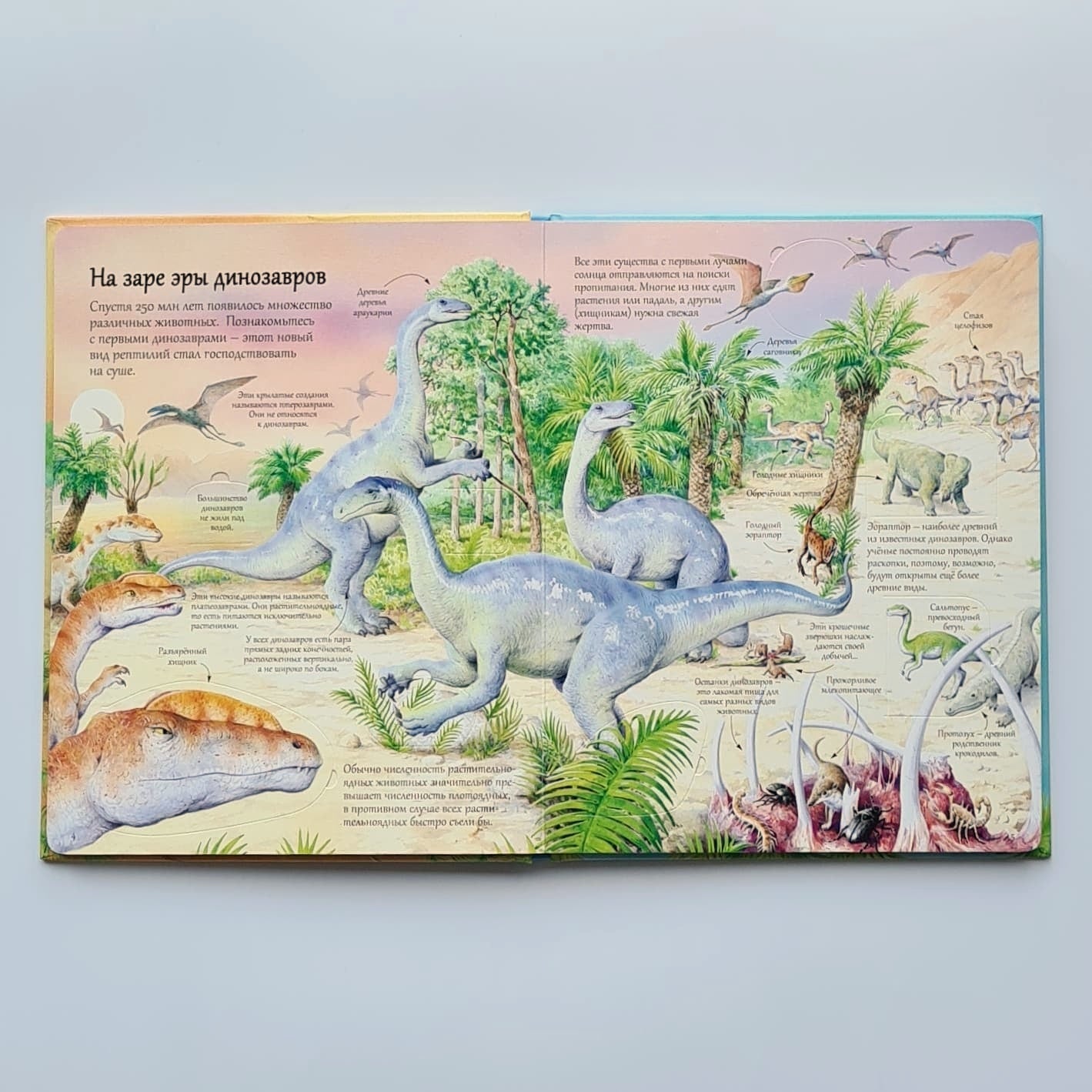 Открой тайны динозавров