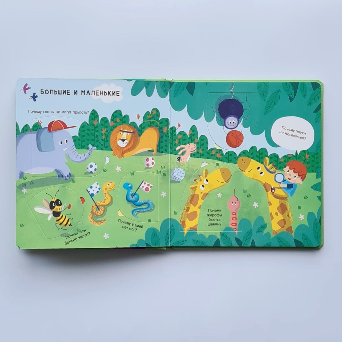 Животные. Почему?