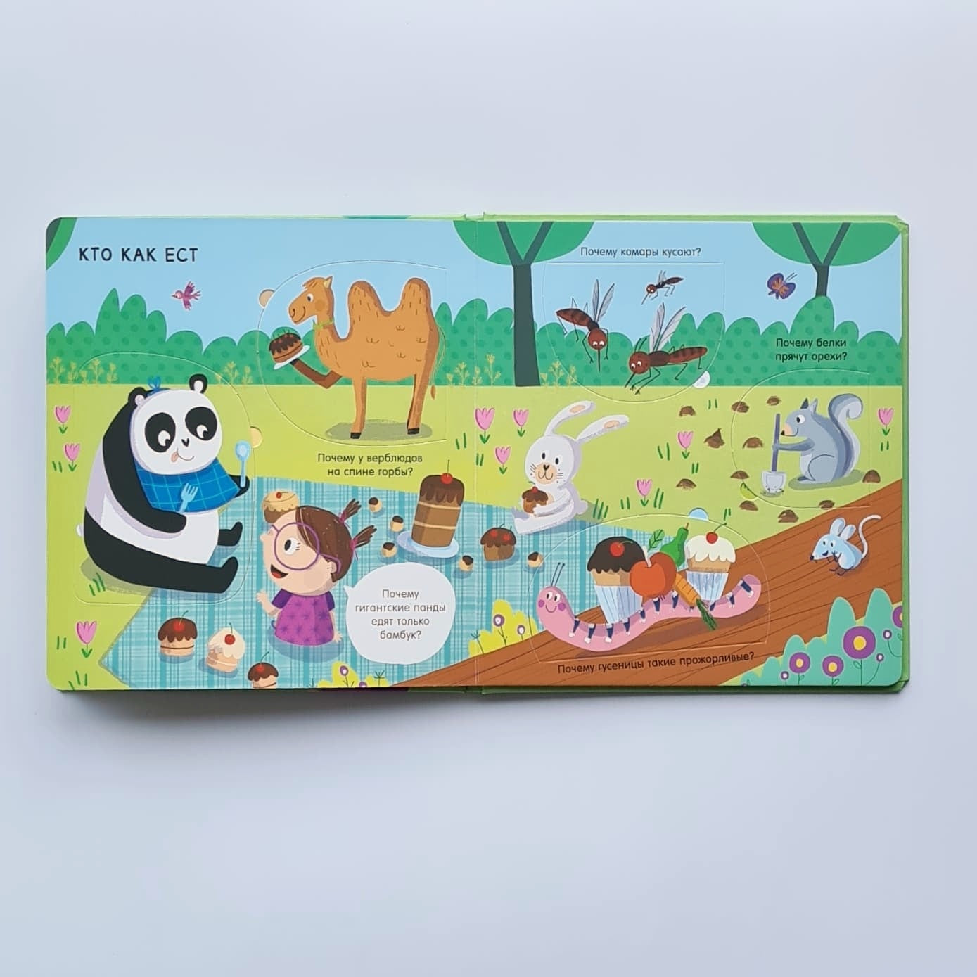 Животные. Почему?