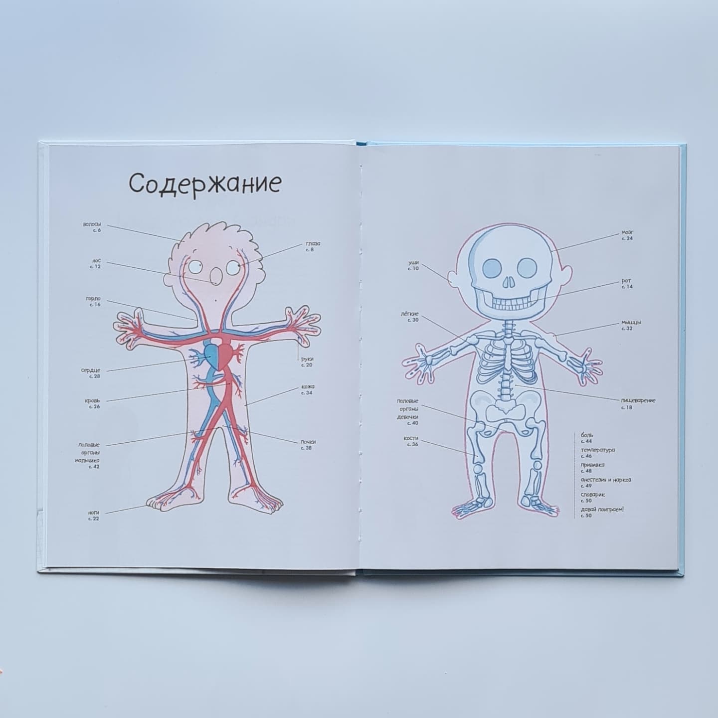 Секреты тела человека