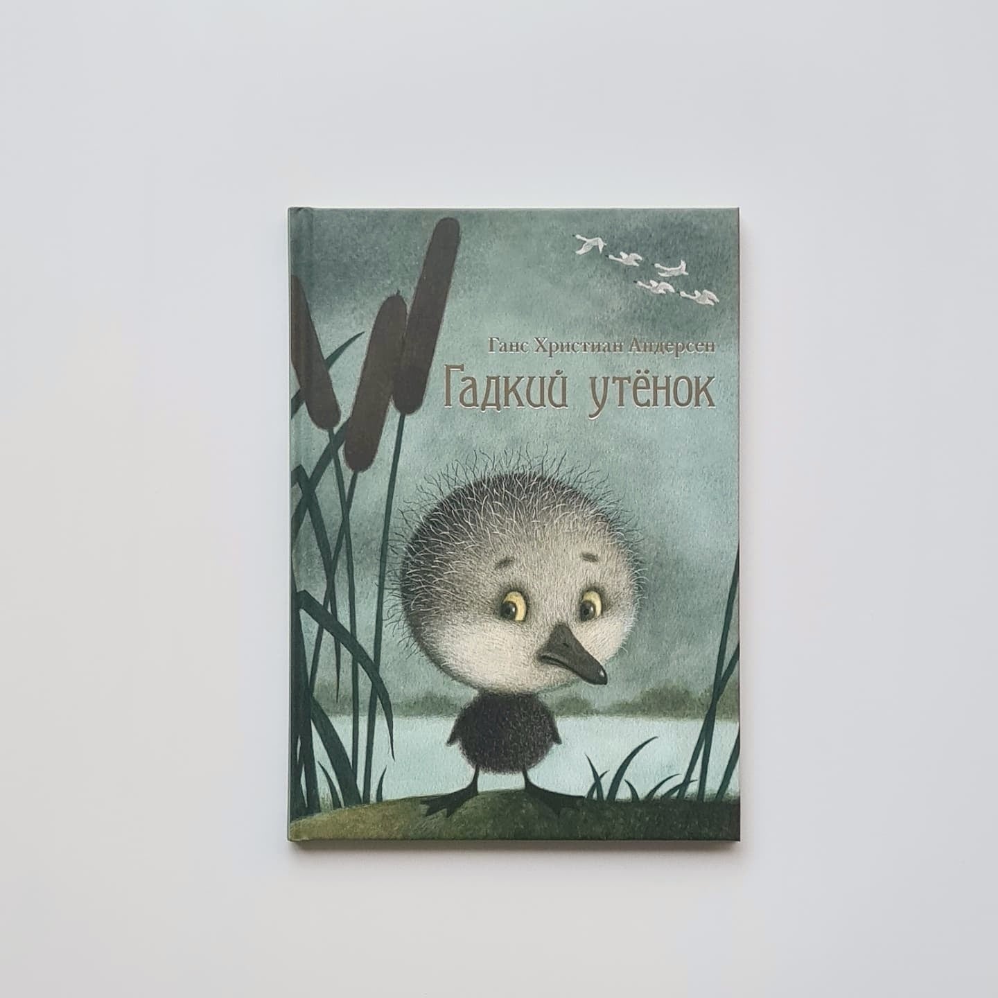 Гадкий утёнок