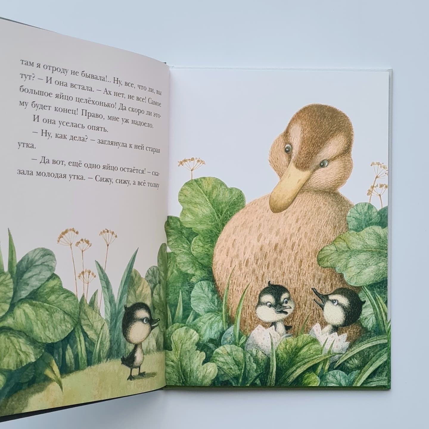 Гадкий утёнок