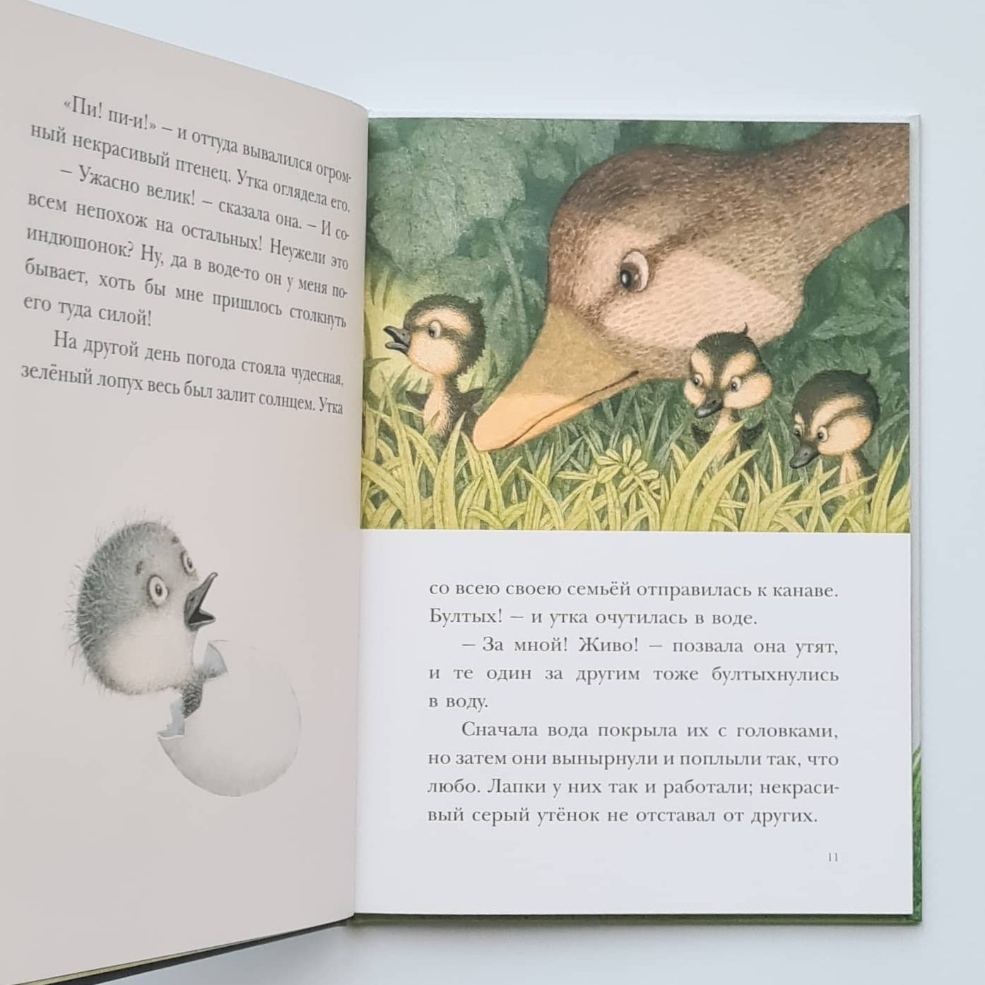 Гадкий утёнок