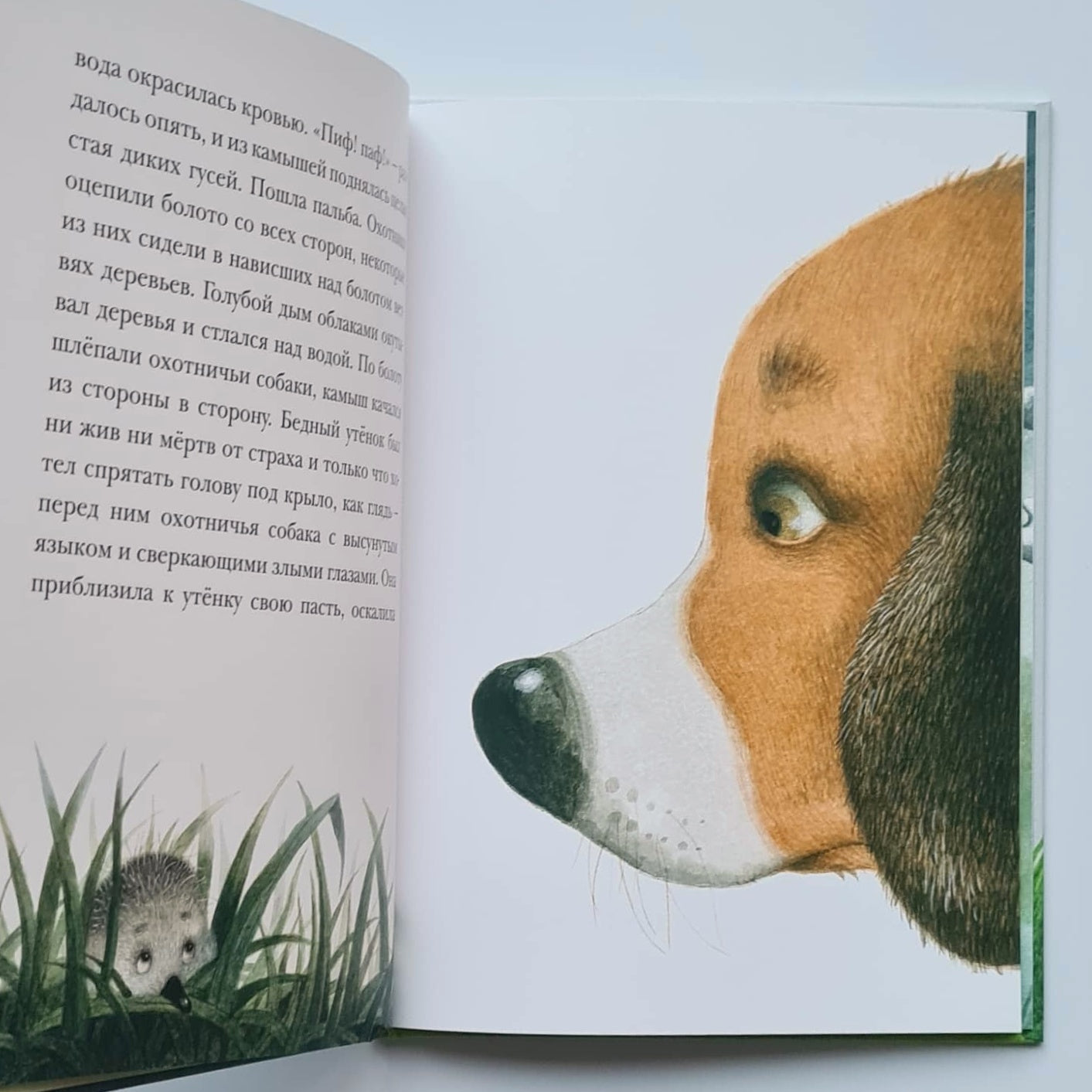 Гадкий утёнок