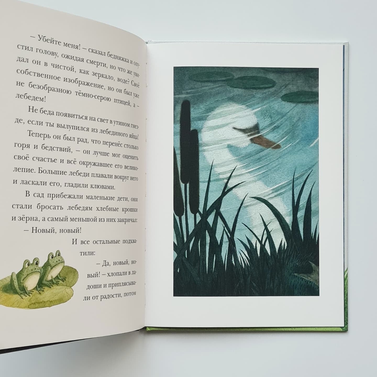 Гадкий утёнок