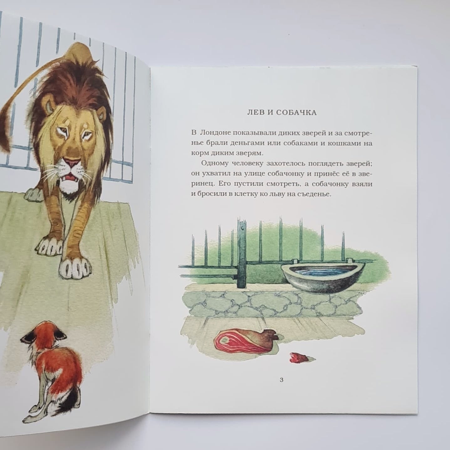 Детям. Рассказы