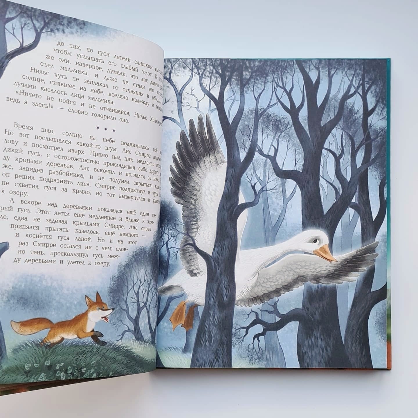 Путешествие Нильса с дикими гусями