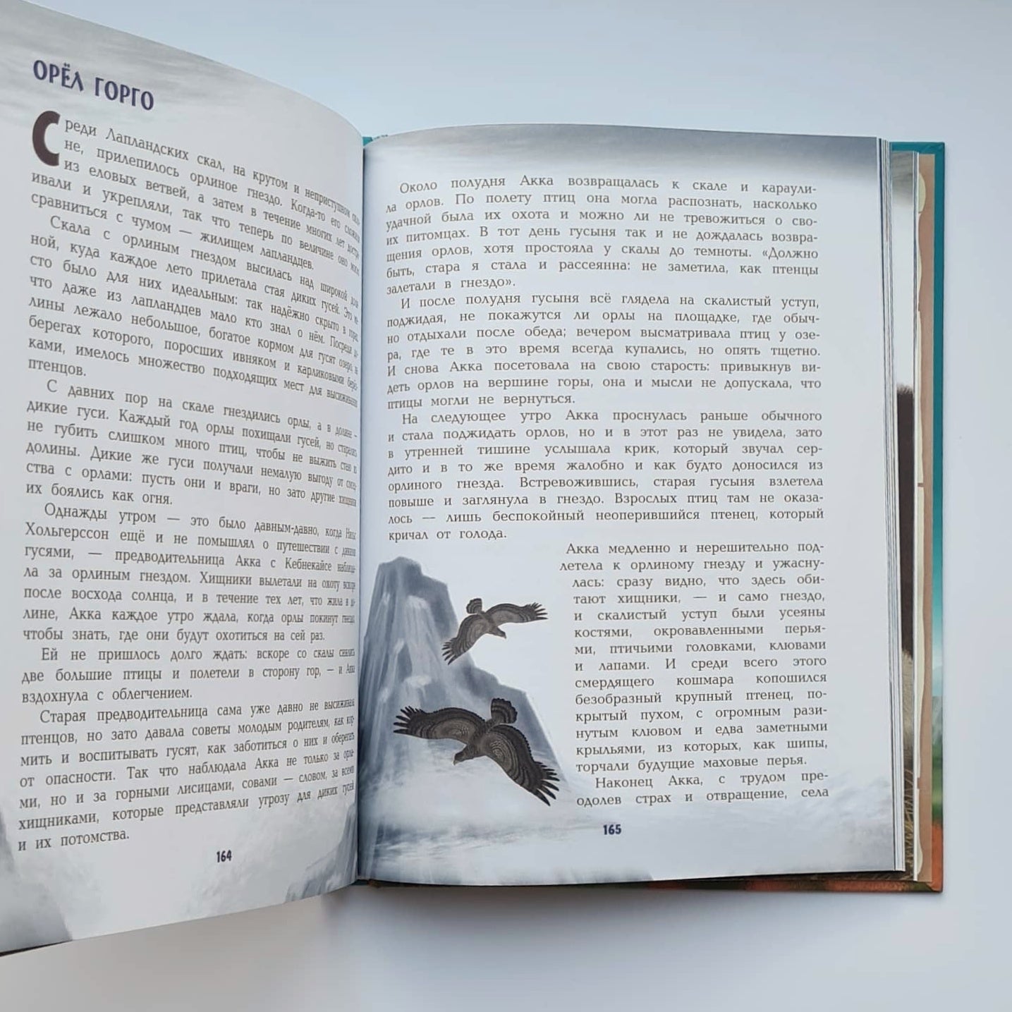 Путешествие Нильса с дикими гусями