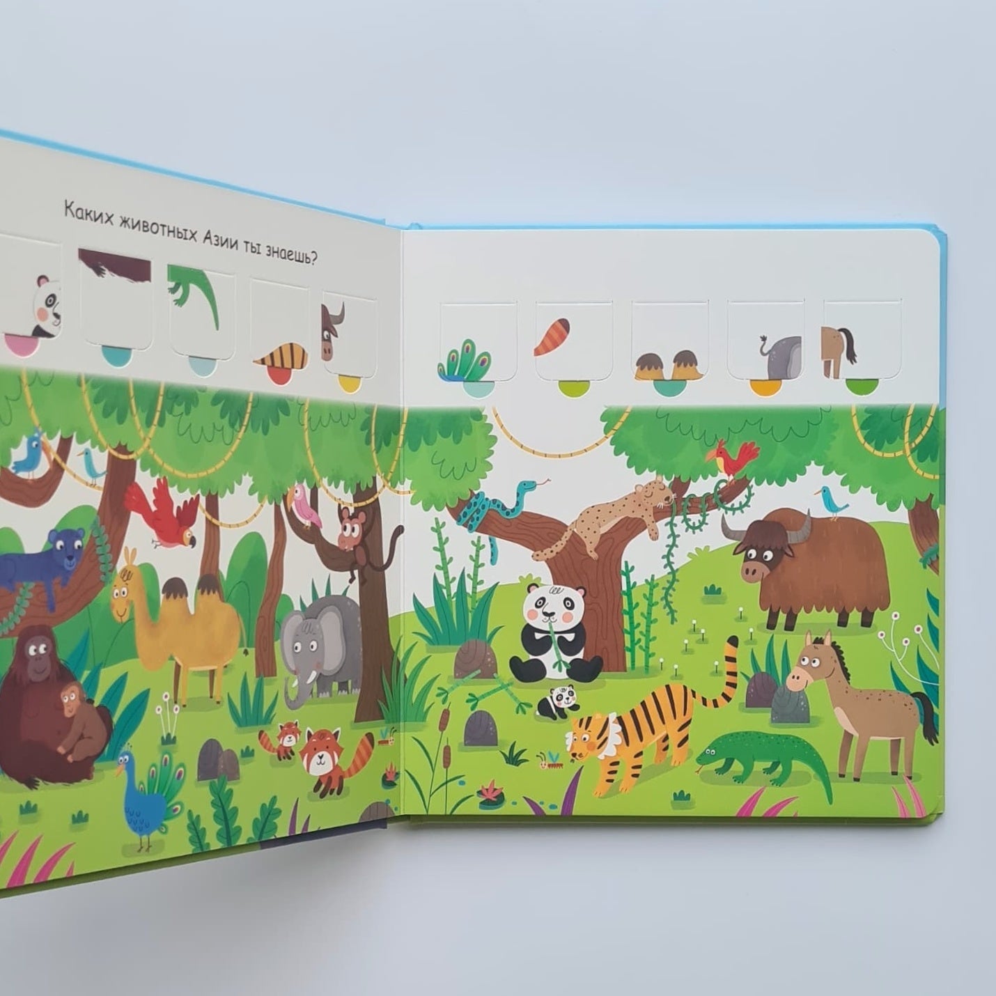 Дикие животные. Створки для самых маленьких