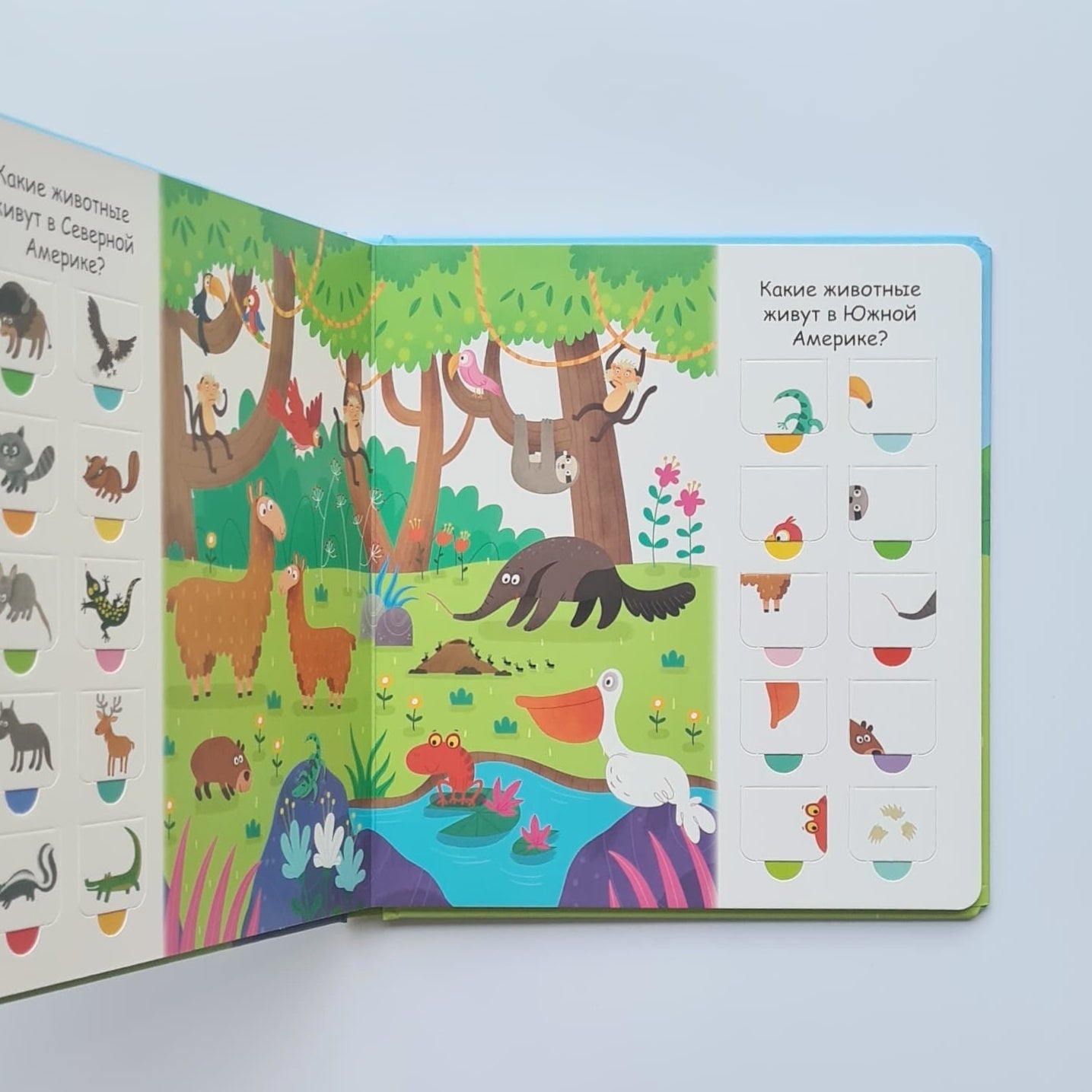 Дикие животные. Створки для самых маленьких