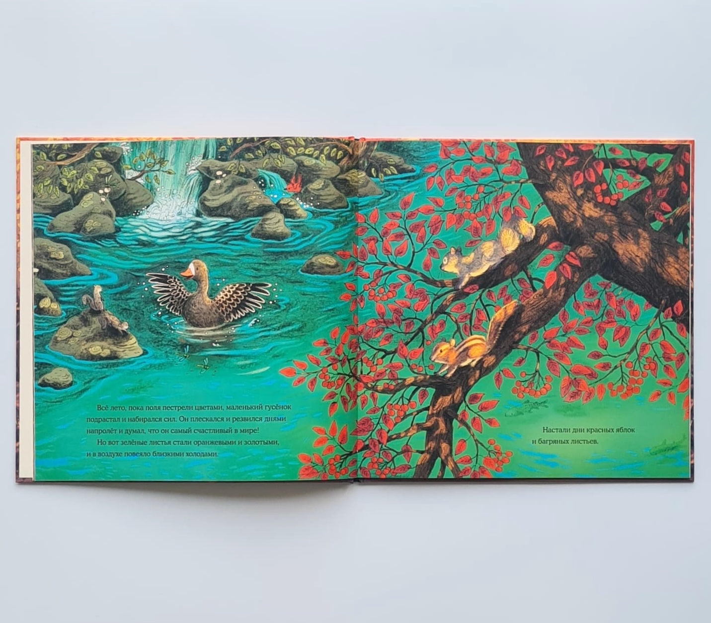 Осень гусенка