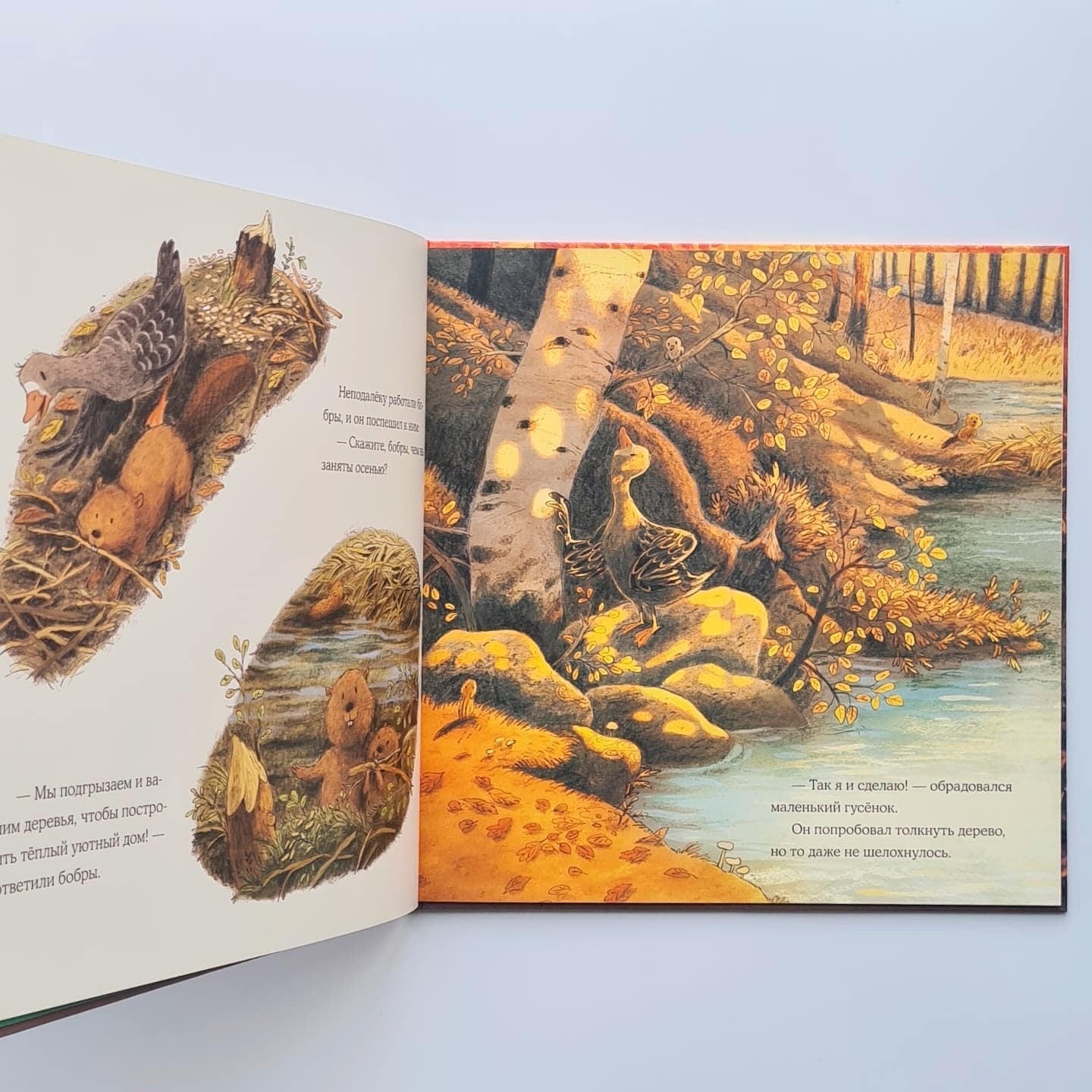 Осень гусенка