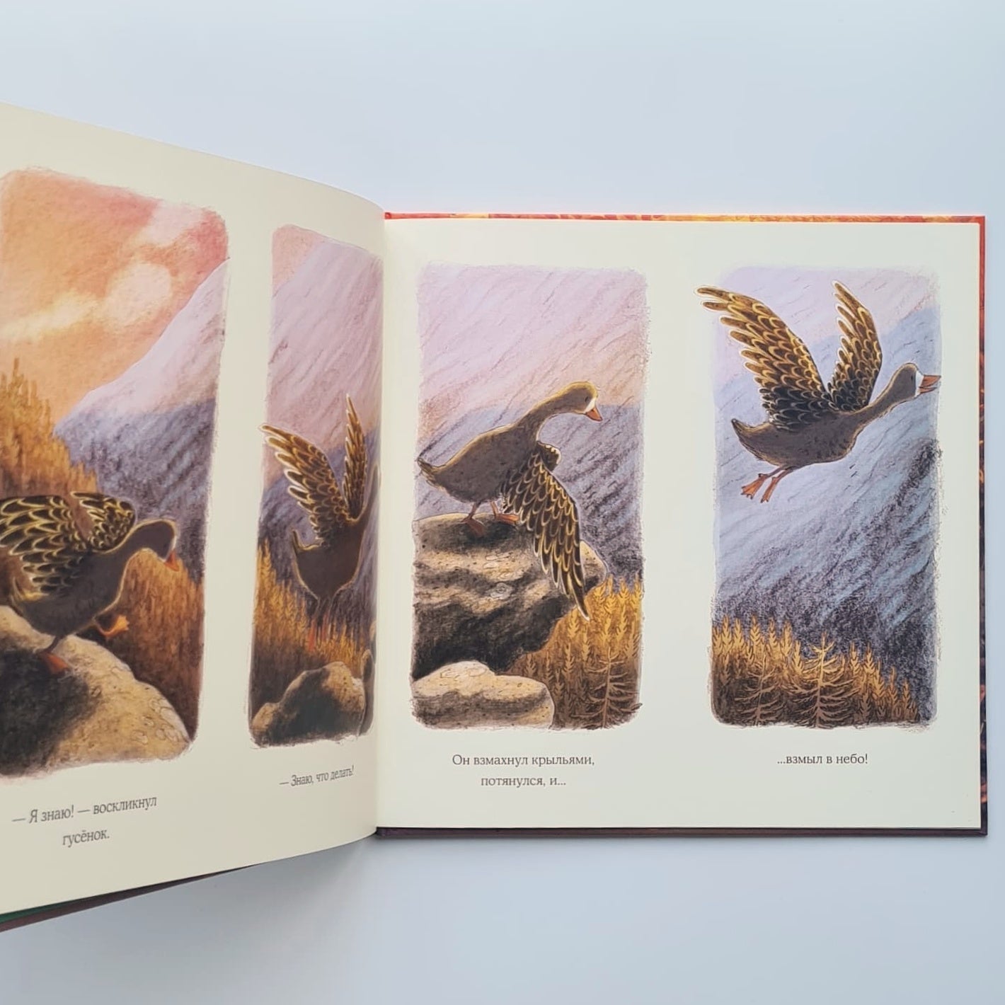 Осень гусенка