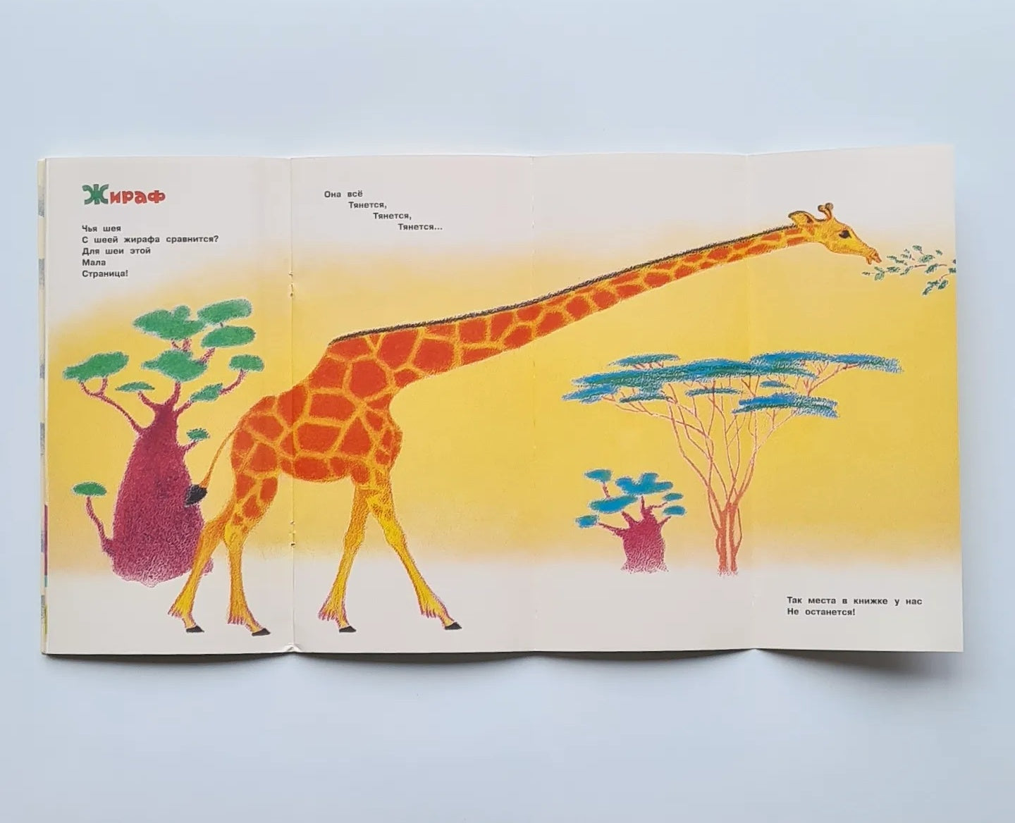 Что снится моржу