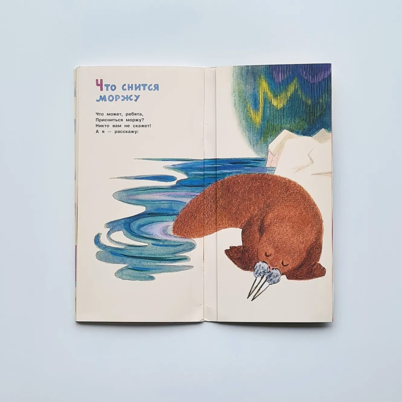 Что снится моржу