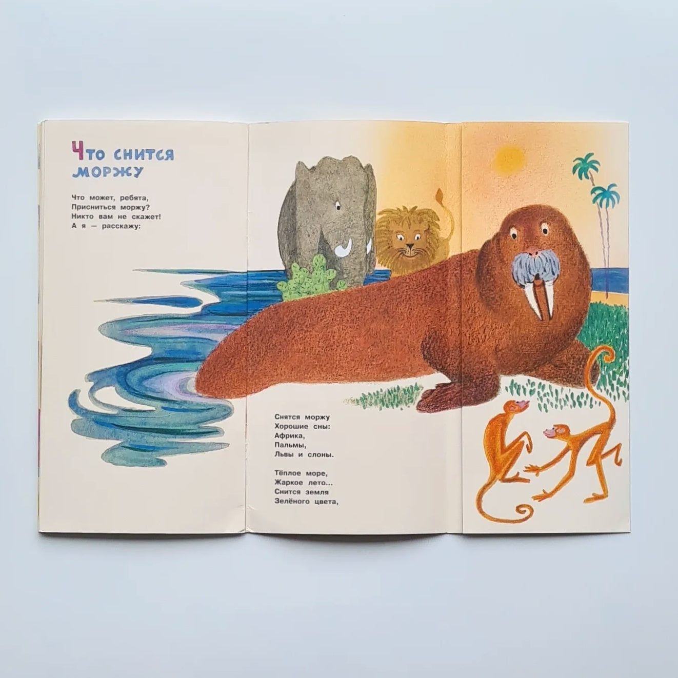 Что снится моржу