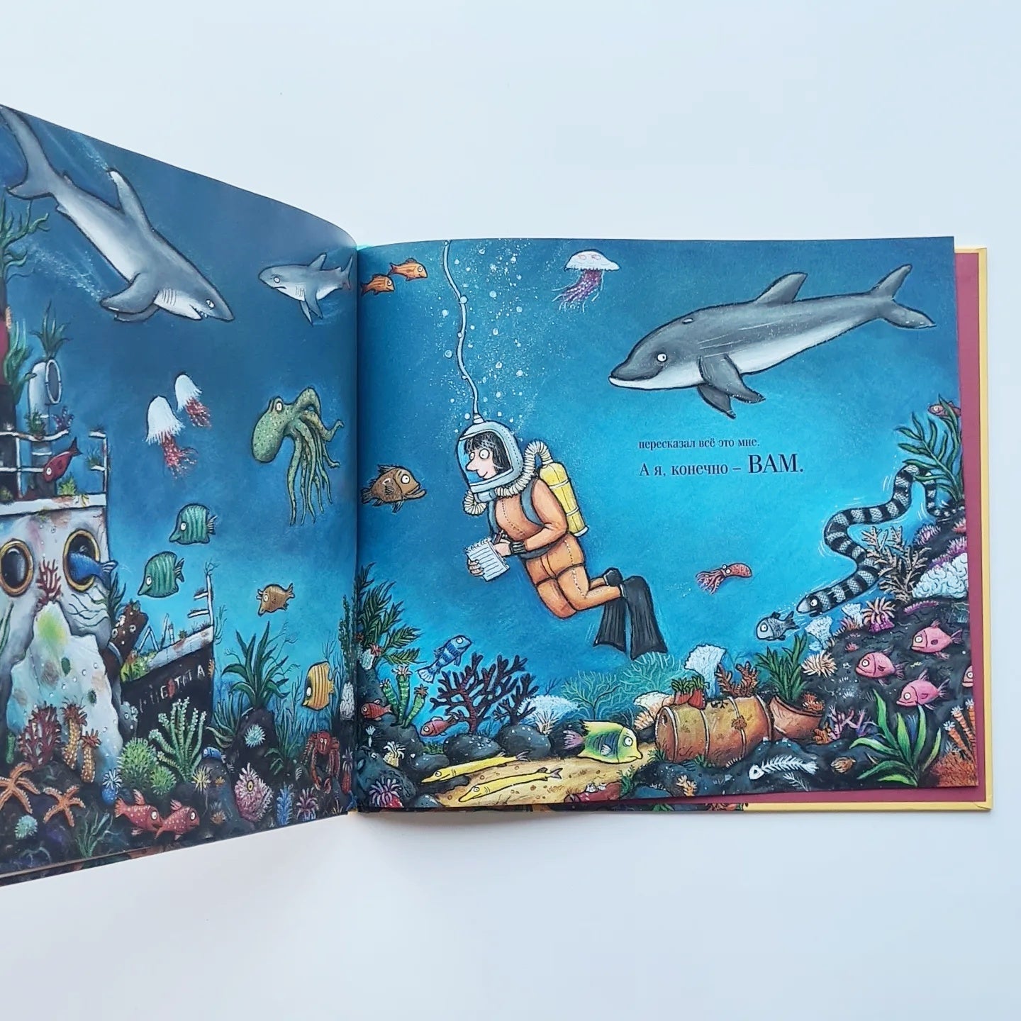 Tulka. A small fish and a big inventor