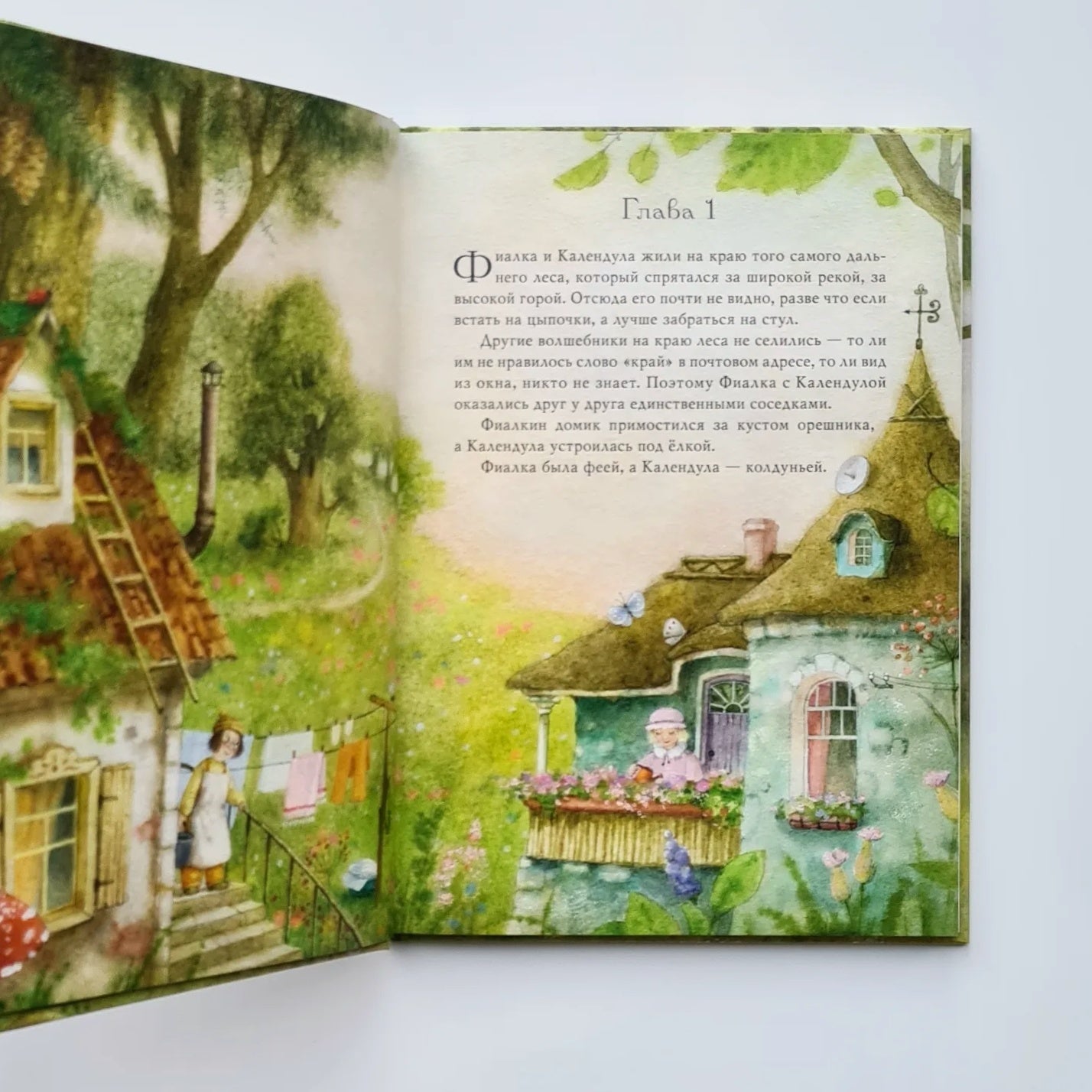 Fairy Violet, the sorceress Calendula and a bunch of bears